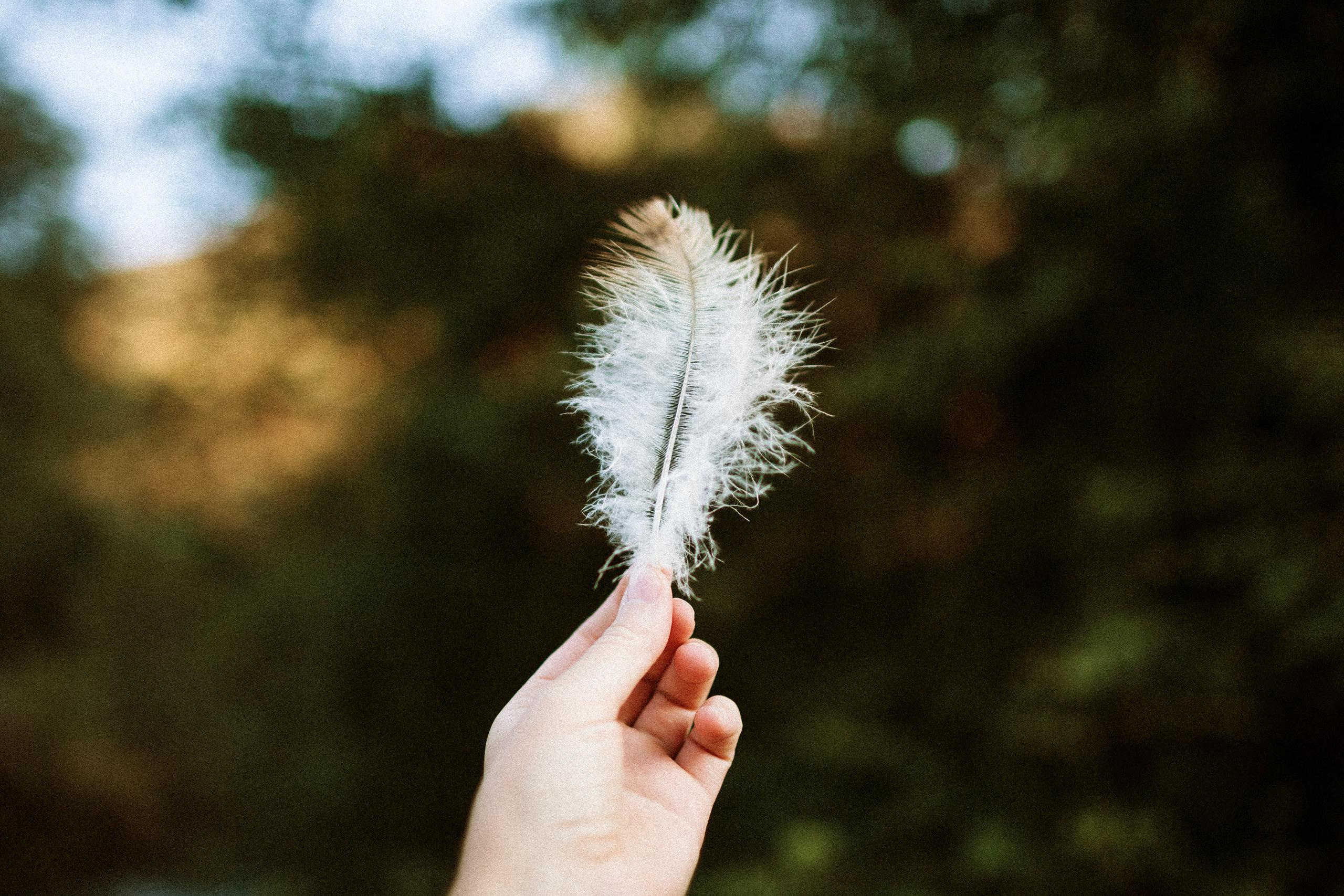 Осеннее путешествие в ущелье Шамси. Фотограф в Бишкеке Оксана Шувалова