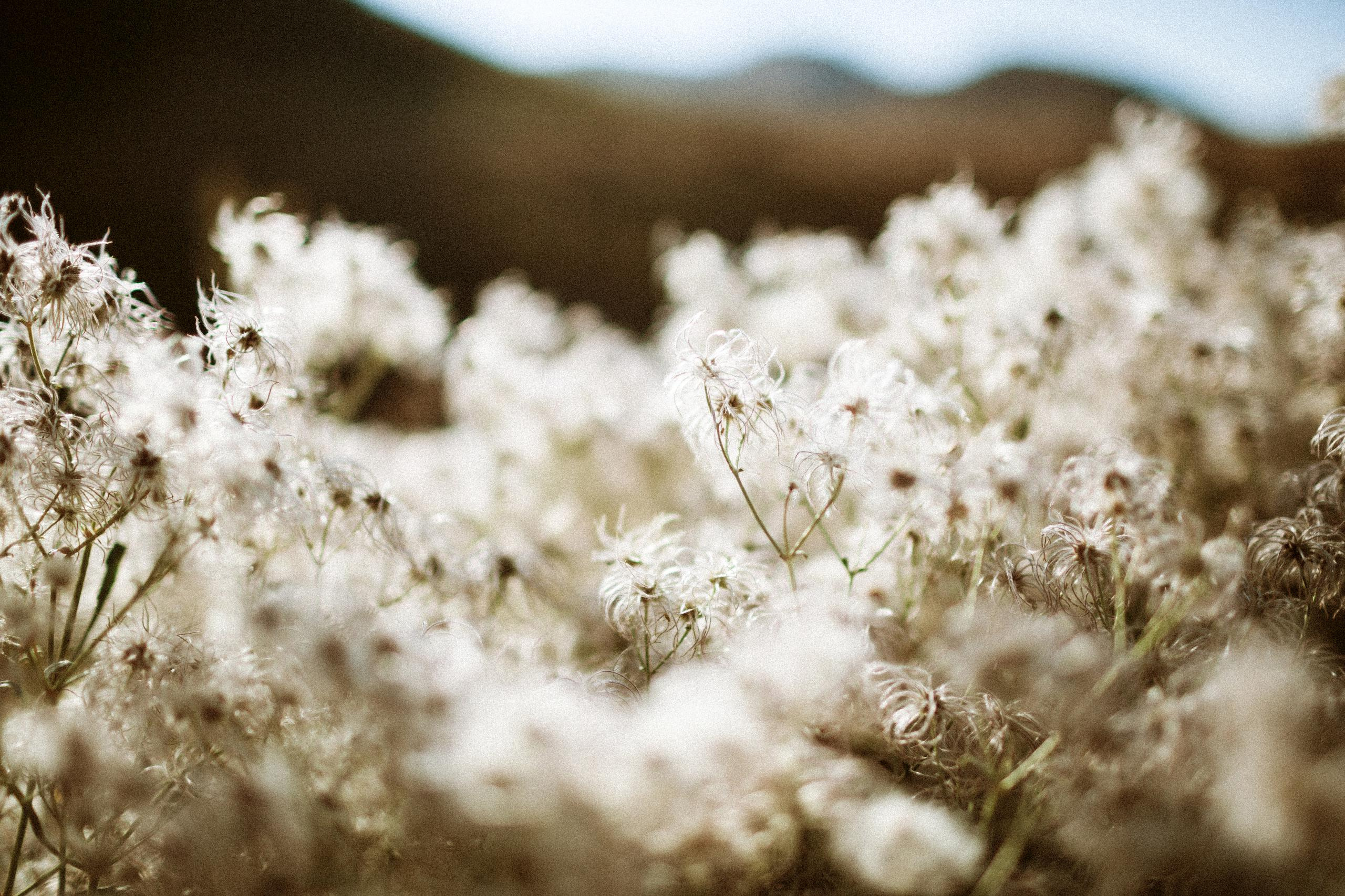 Осеннее путешествие в ущелье Шамси. Фотограф в Бишкеке Оксана Шувалова
