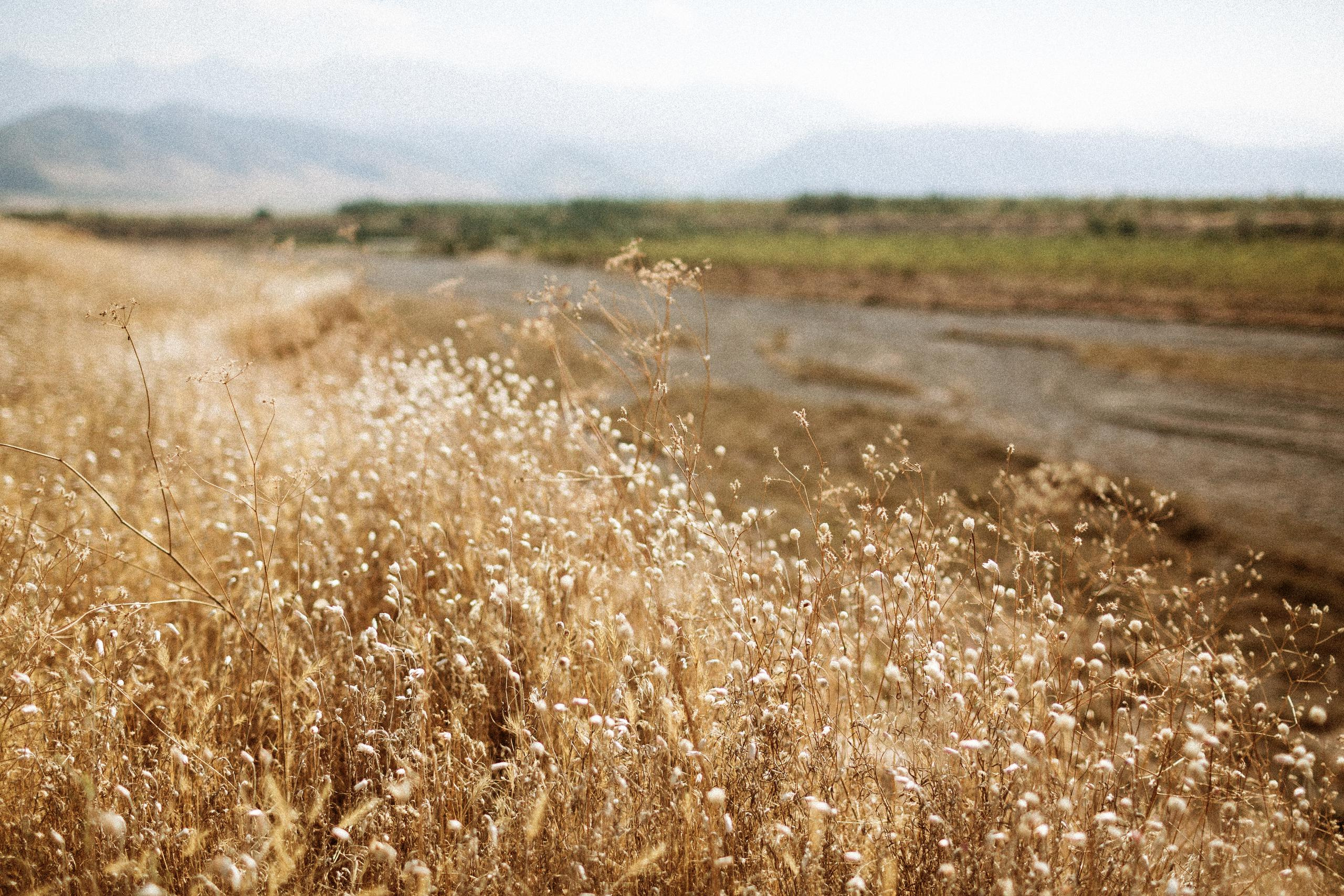 Осеннее путешествие в ущелье Шамси. Фотограф в Бишкеке Оксана Шувалова