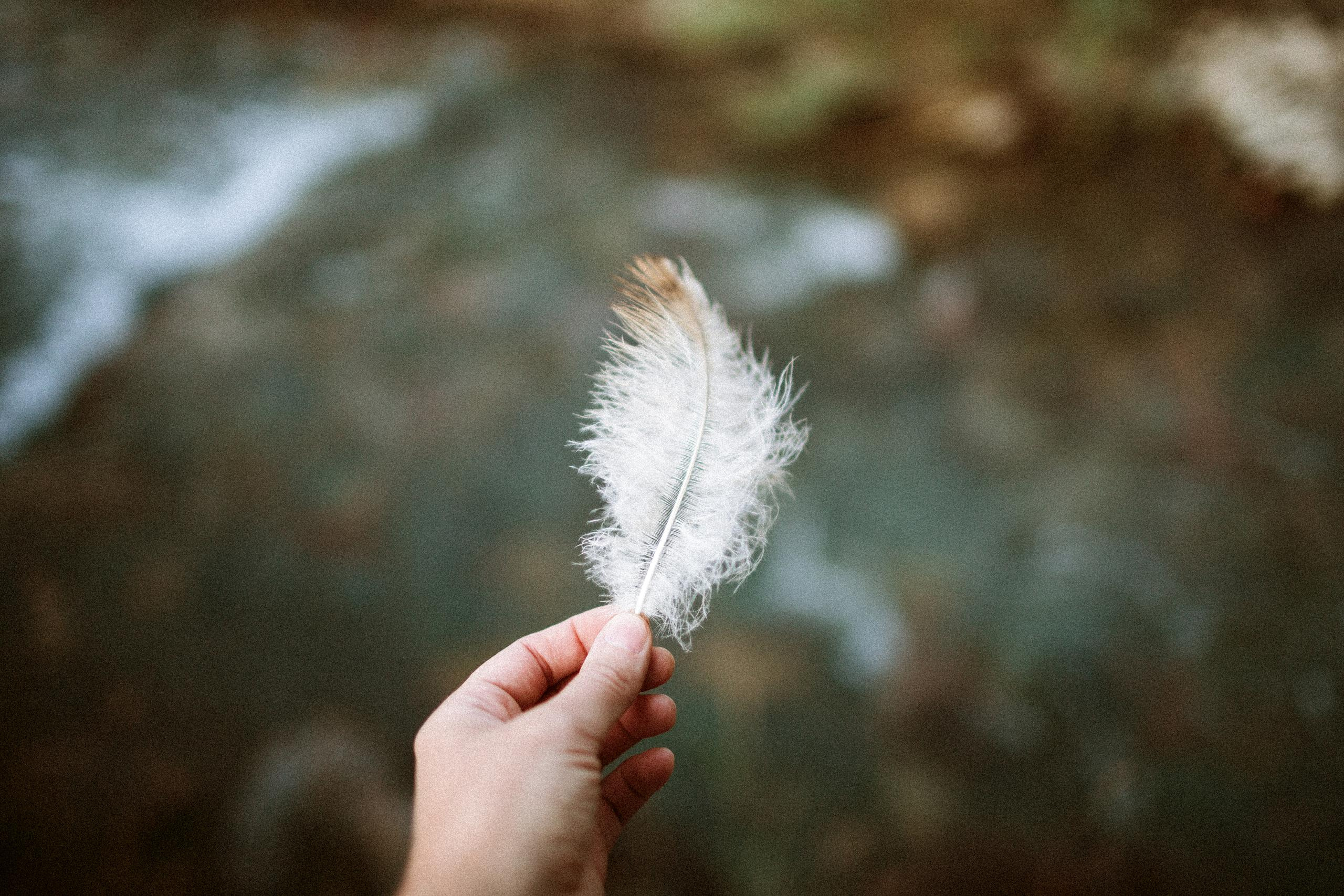 Осеннее путешествие в ущелье Шамси. Фотограф в Бишкеке Оксана Шувалова