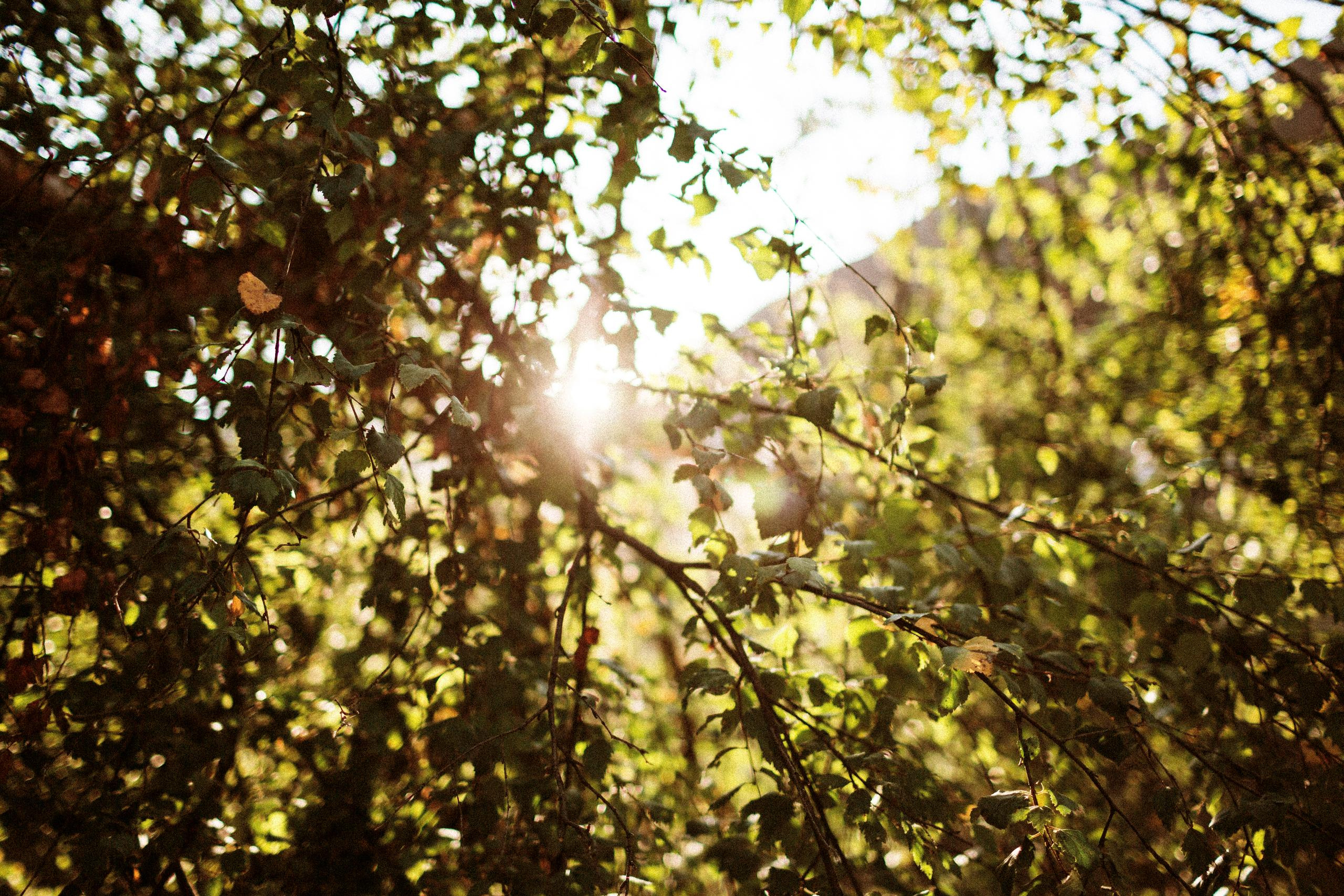 Осеннее путешествие в ущелье Шамси. Фотограф в Бишкеке Оксана Шувалова