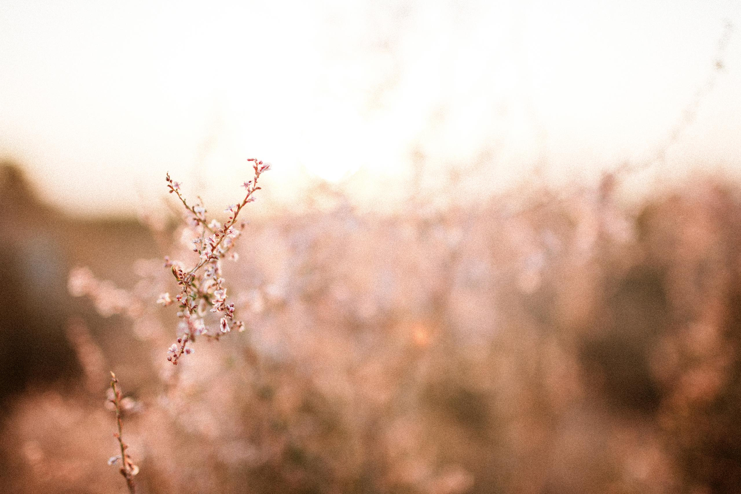 Осеннее путешествие в ущелье Шамси. Фотограф в Бишкеке Оксана Шувалова