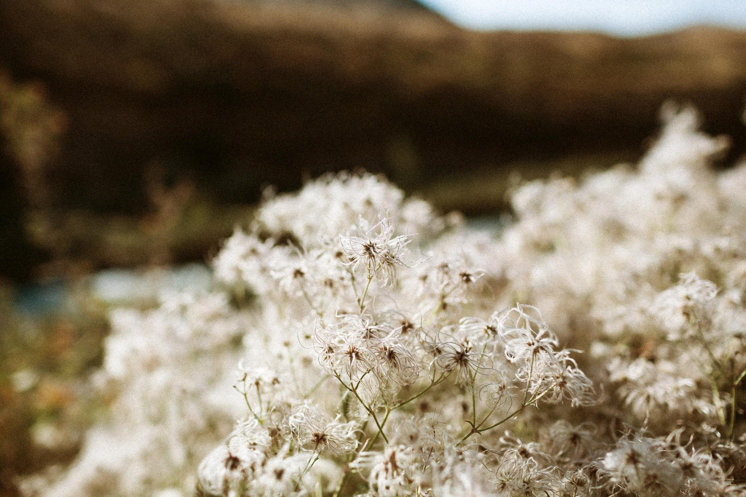 Осеннее путешествие в ущелье Шамси. Фотограф в Бишкеке Оксана Шувалова