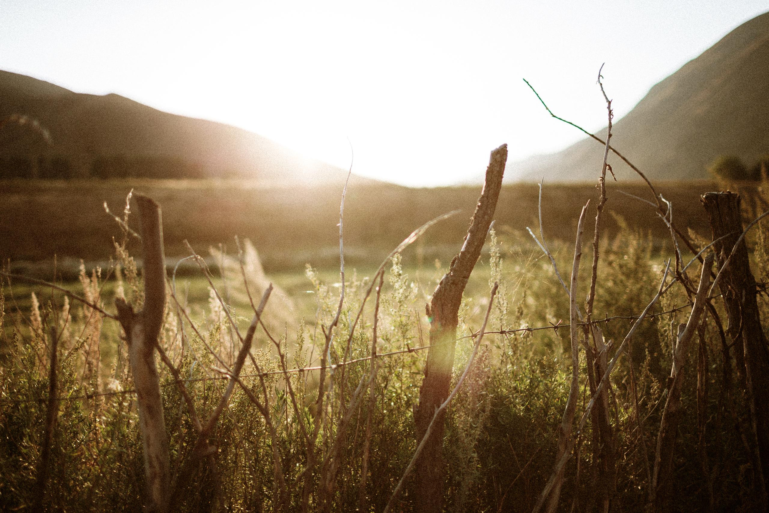 Осеннее путешествие в ущелье Шамси. Фотограф в Бишкеке Оксана Шувалова