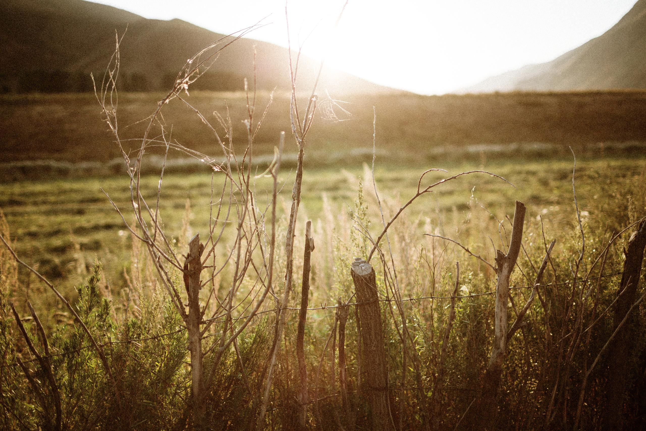 Осеннее путешествие в ущелье Шамси. Фотограф в Бишкеке Оксана Шувалова