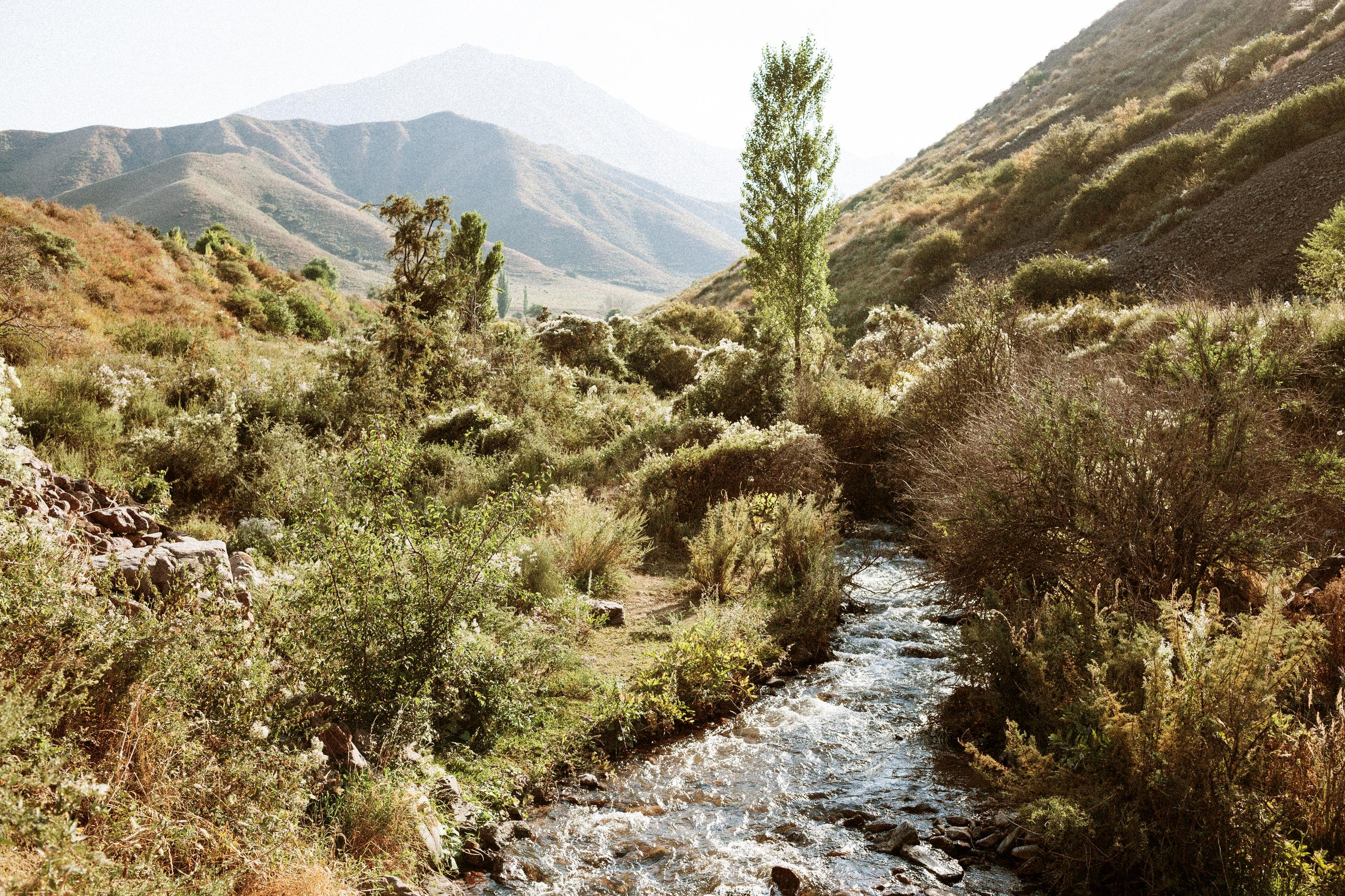 Осеннее путешествие в ущелье Шамси. Фотограф в Бишкеке Оксана Шувалова