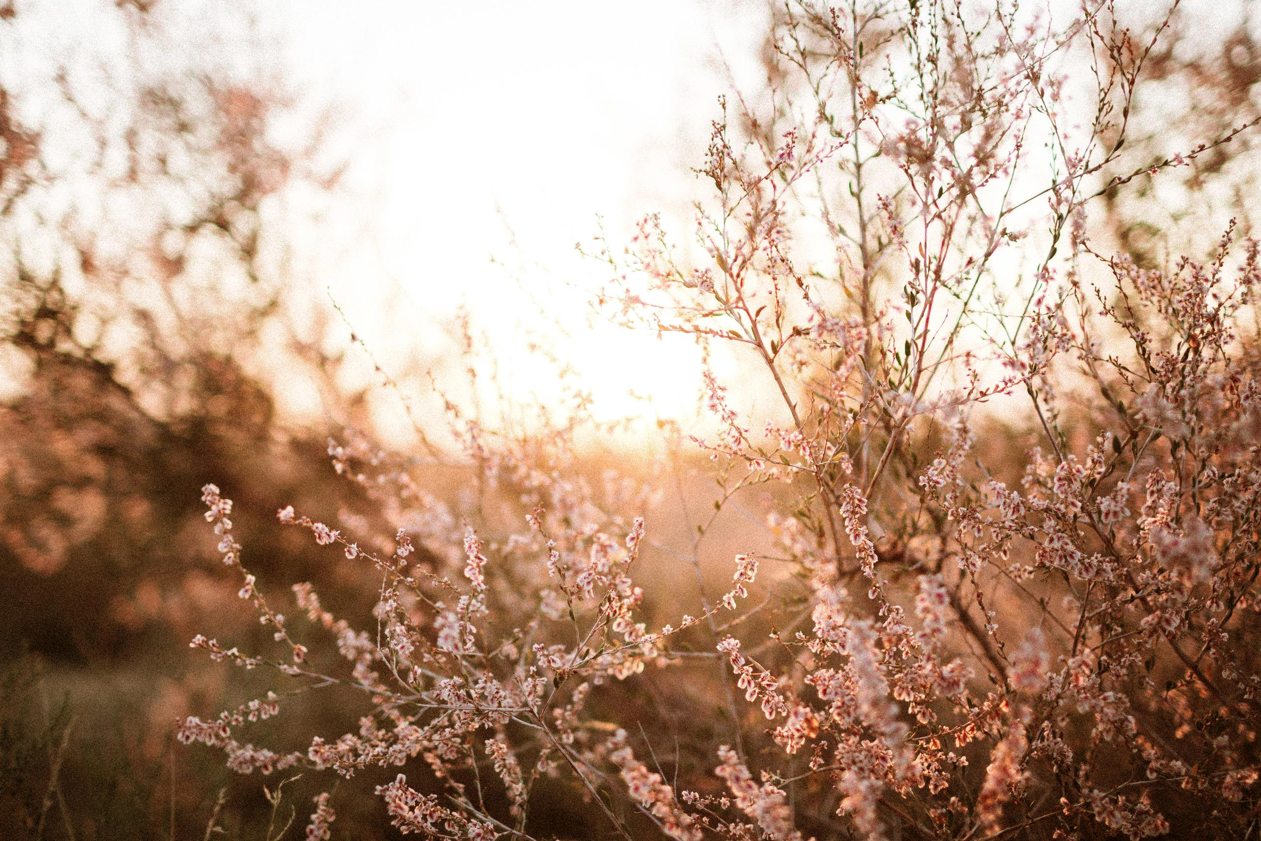 Осеннее путешествие в ущелье Шамси. Фотограф в Бишкеке Оксана Шувалова