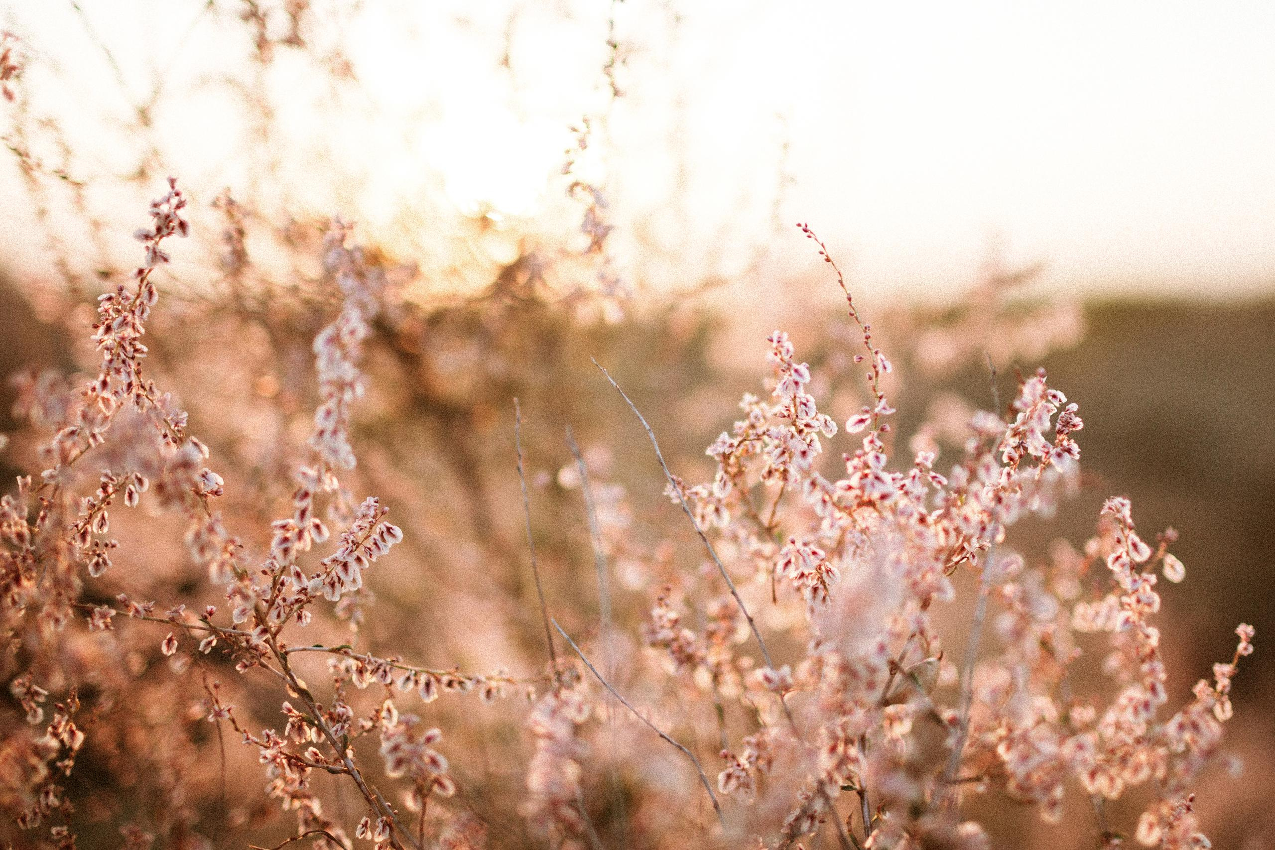 Осеннее путешествие в ущелье Шамси. Фотограф в Бишкеке Оксана Шувалова