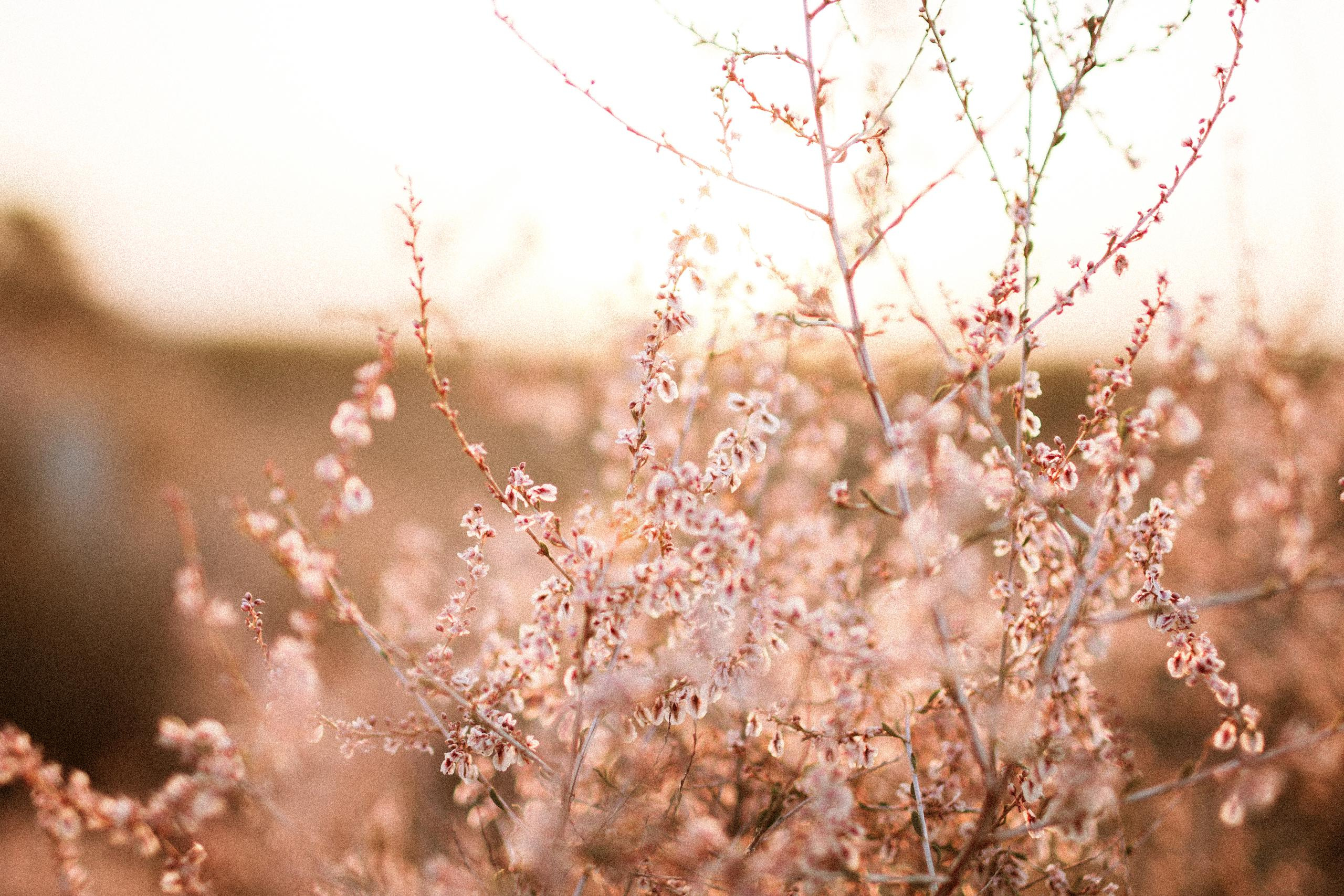 Осеннее путешествие в ущелье Шамси. Фотограф в Бишкеке Оксана Шувалова