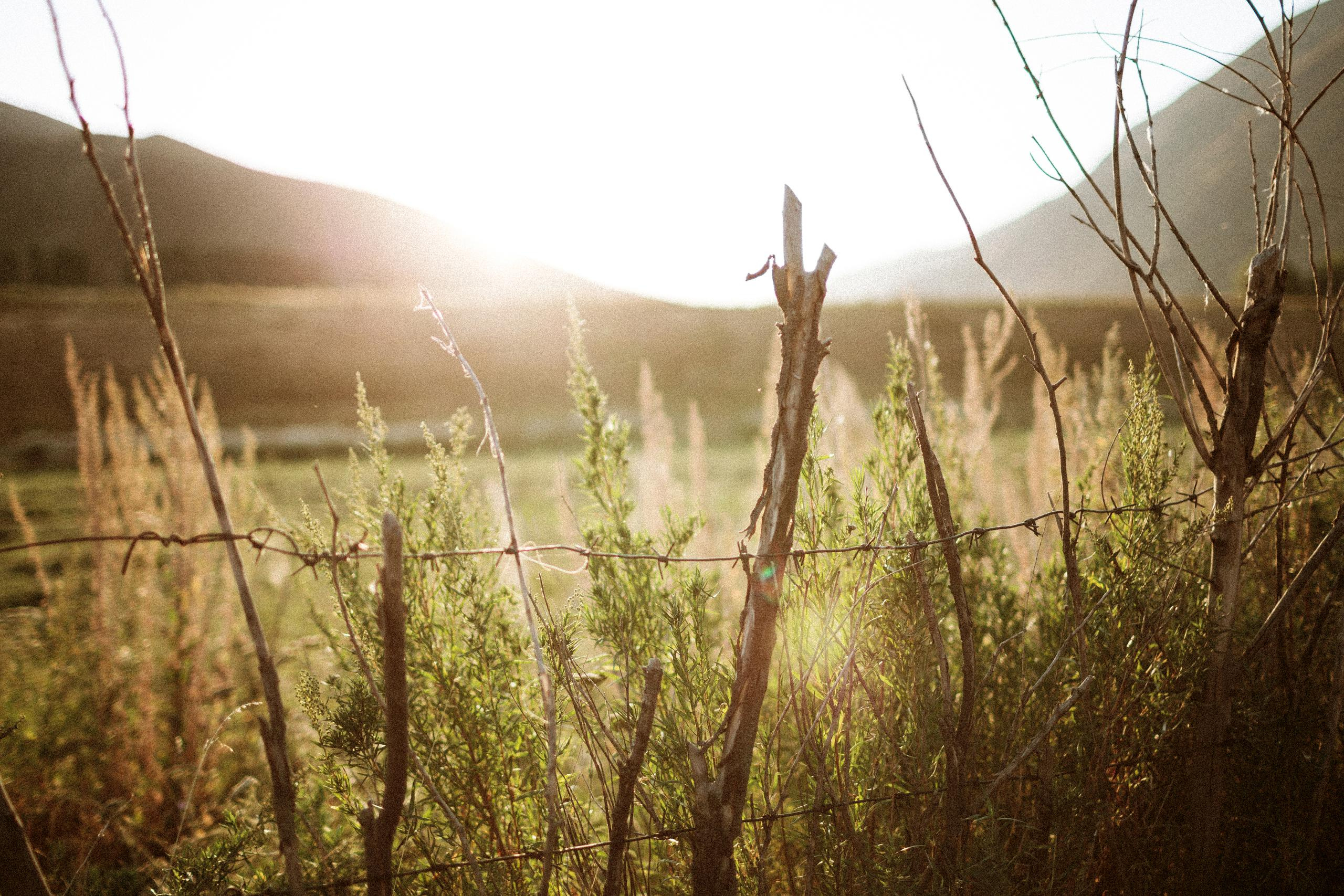 Осеннее путешествие в ущелье Шамси. Фотограф в Бишкеке Оксана Шувалова