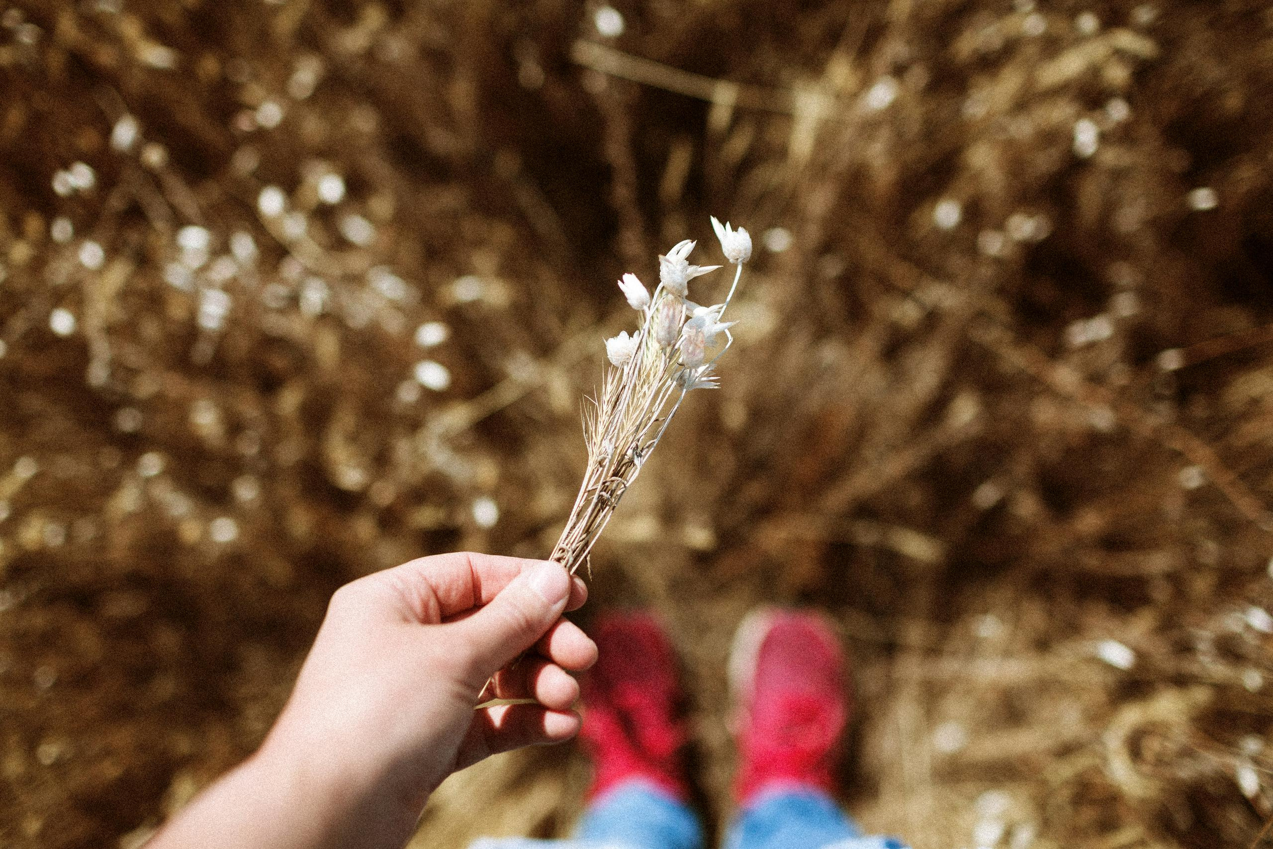 Осеннее путешествие в ущелье Шамси. Фотограф в Бишкеке Оксана Шувалова