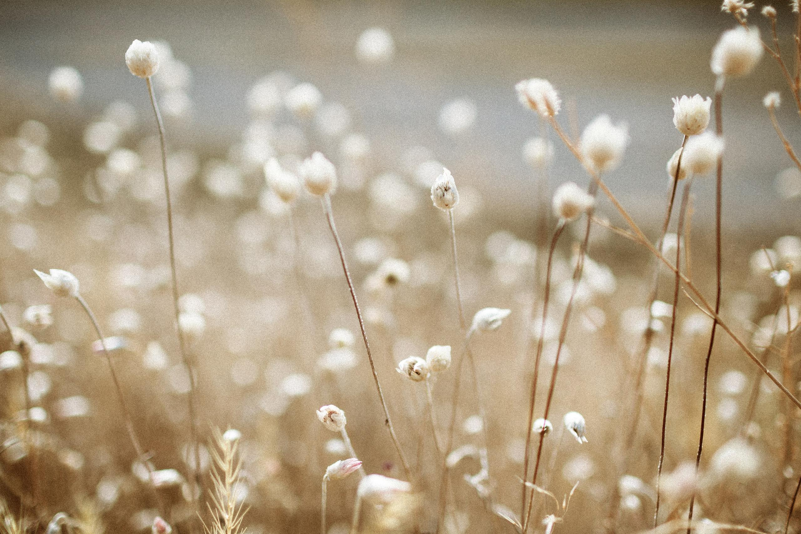 Осеннее путешествие в ущелье Шамси. Фотограф в Бишкеке Оксана Шувалова