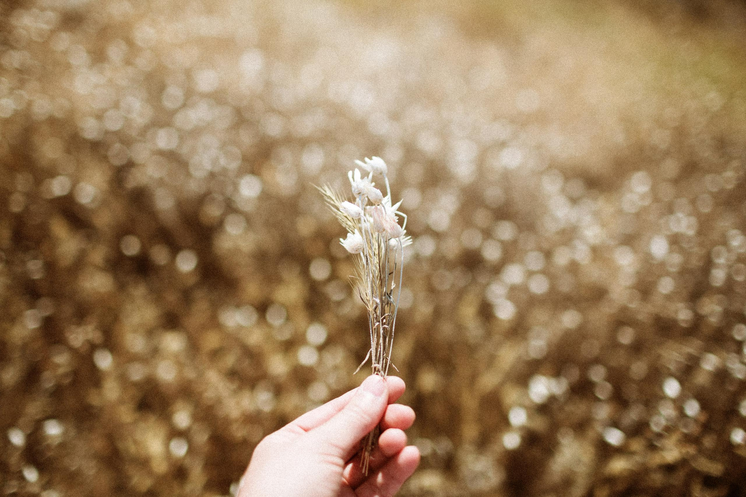 Осеннее путешествие в ущелье Шамси. Фотограф в Бишкеке Оксана Шувалова