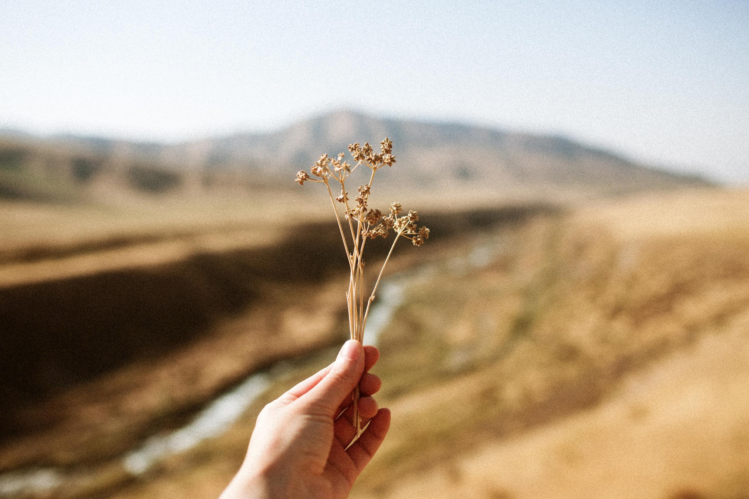 Осеннее путешествие в ущелье Шамси. Фотограф в Бишкеке Оксана Шувалова