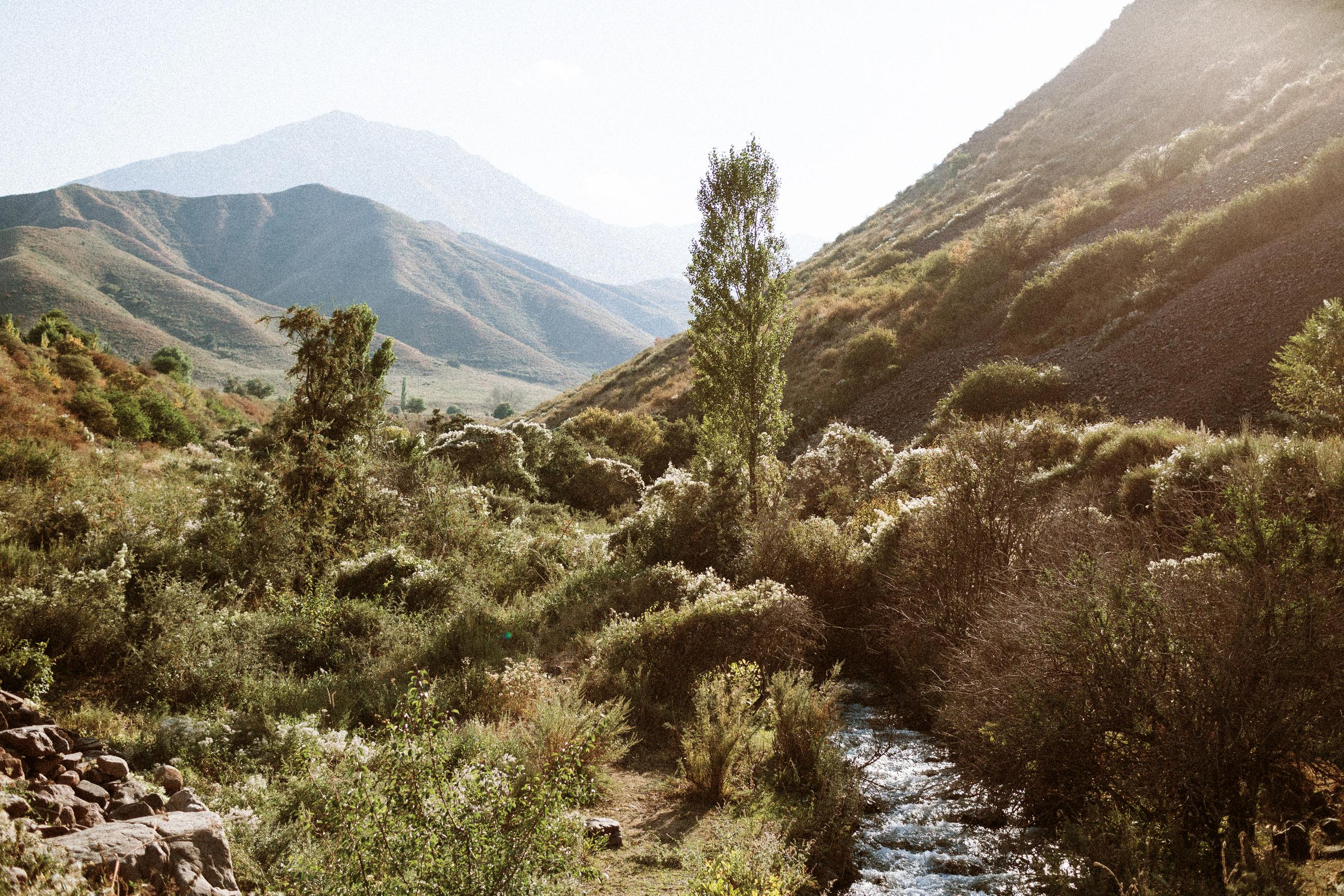 Осеннее путешествие в ущелье Шамси. Фотограф в Бишкеке Оксана Шувалова