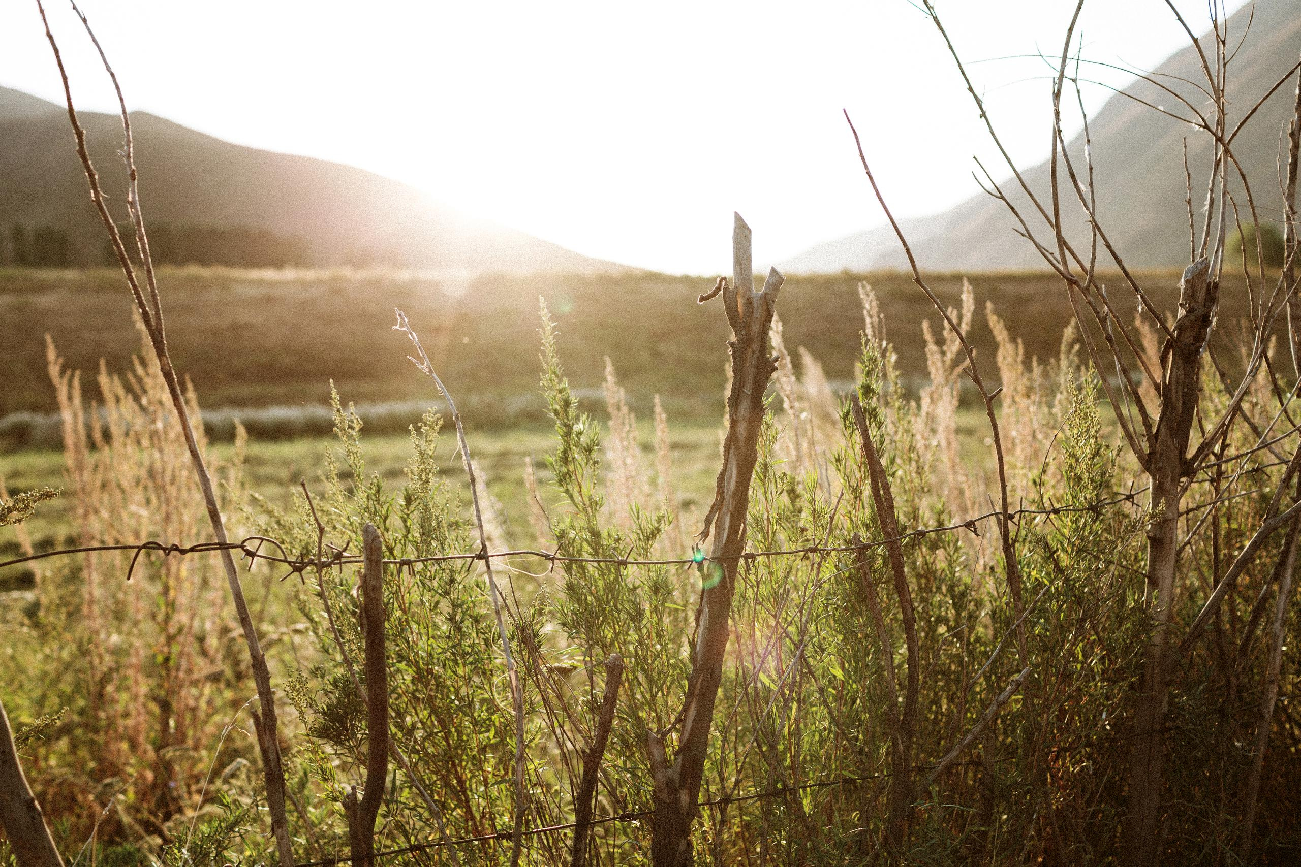 Осеннее путешествие в ущелье Шамси. Фотограф в Бишкеке Оксана Шувалова