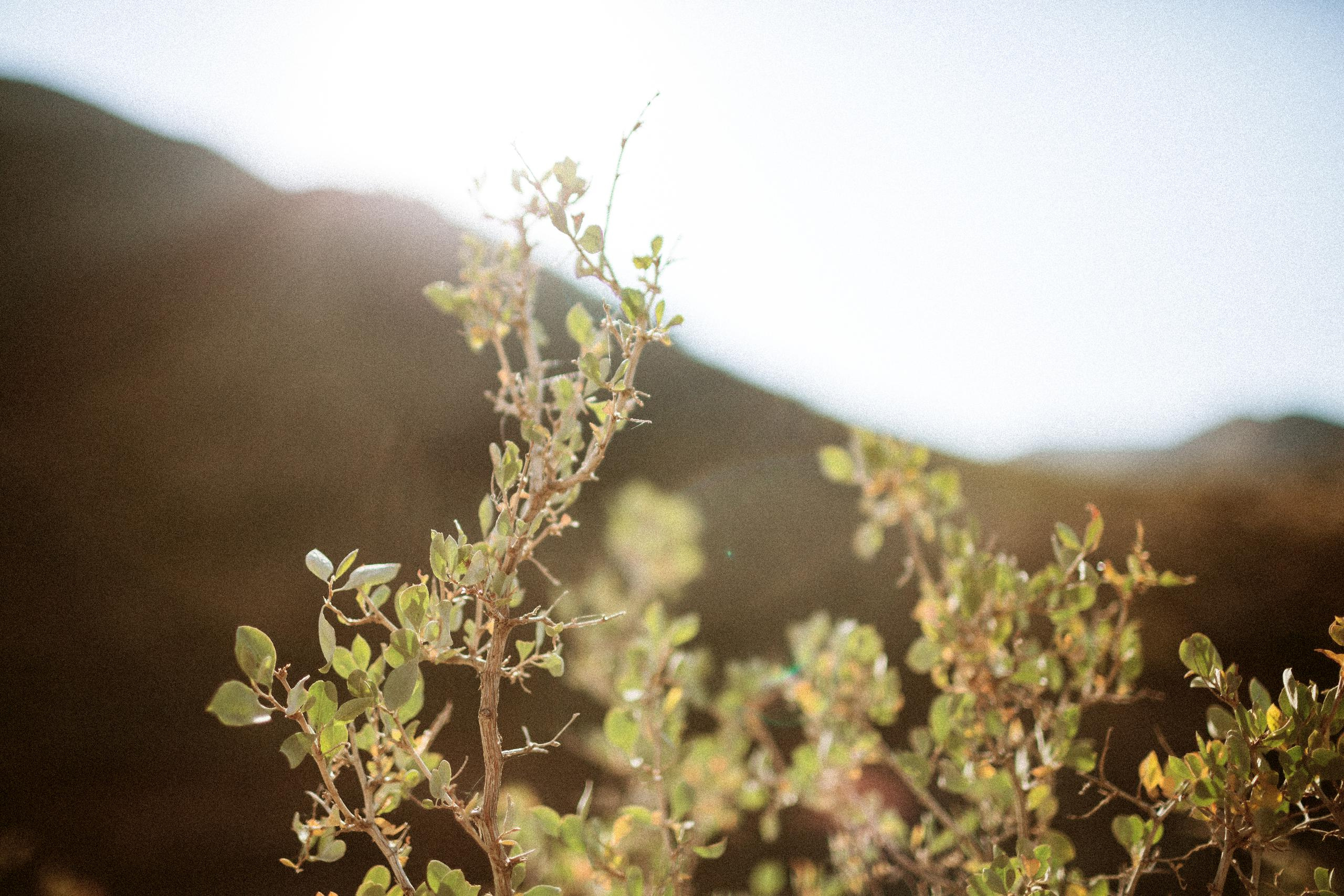 Осеннее путешествие в ущелье Шамси. Фотограф в Бишкеке Оксана Шувалова