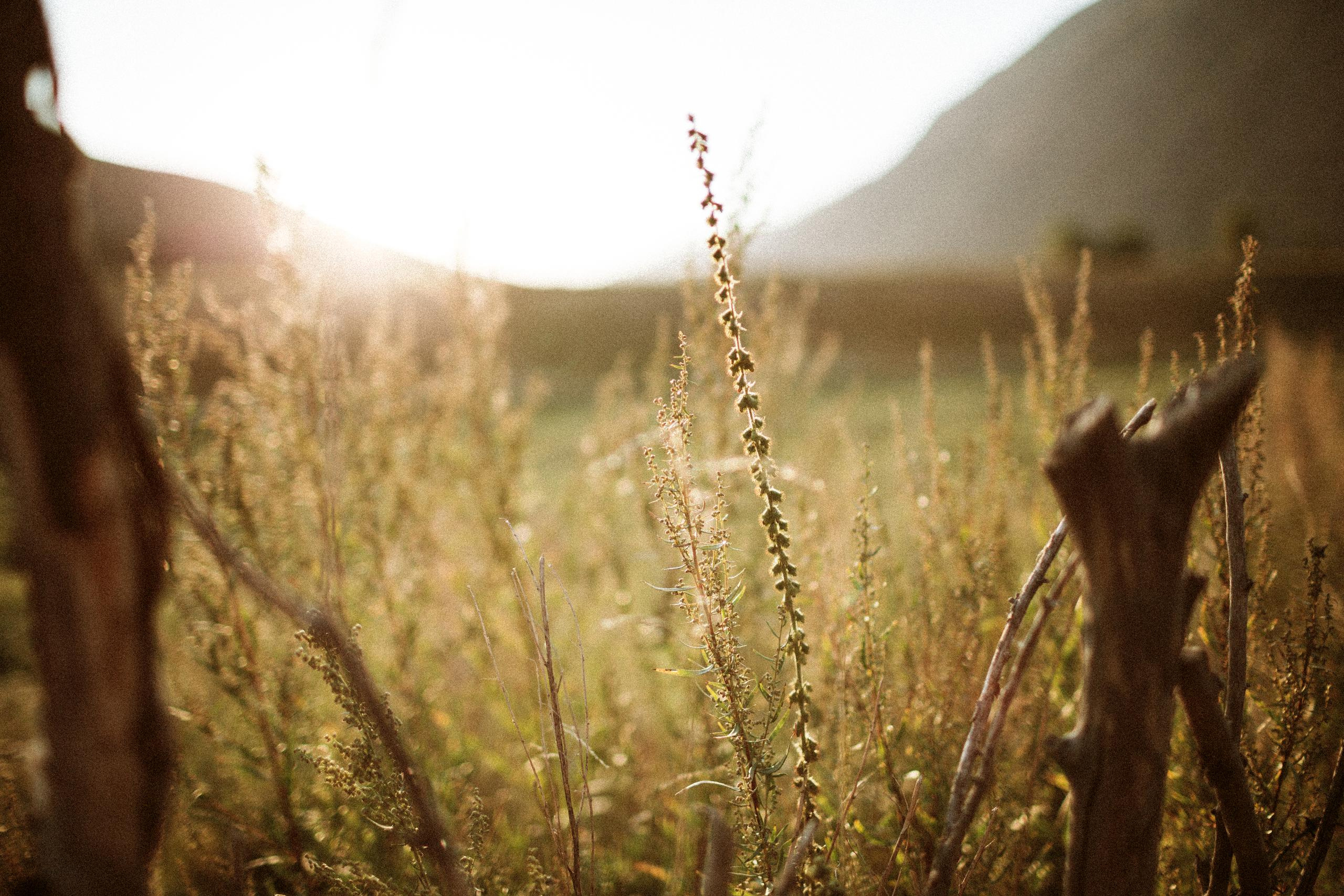 Осеннее путешествие в ущелье Шамси. Фотограф в Бишкеке Оксана Шувалова