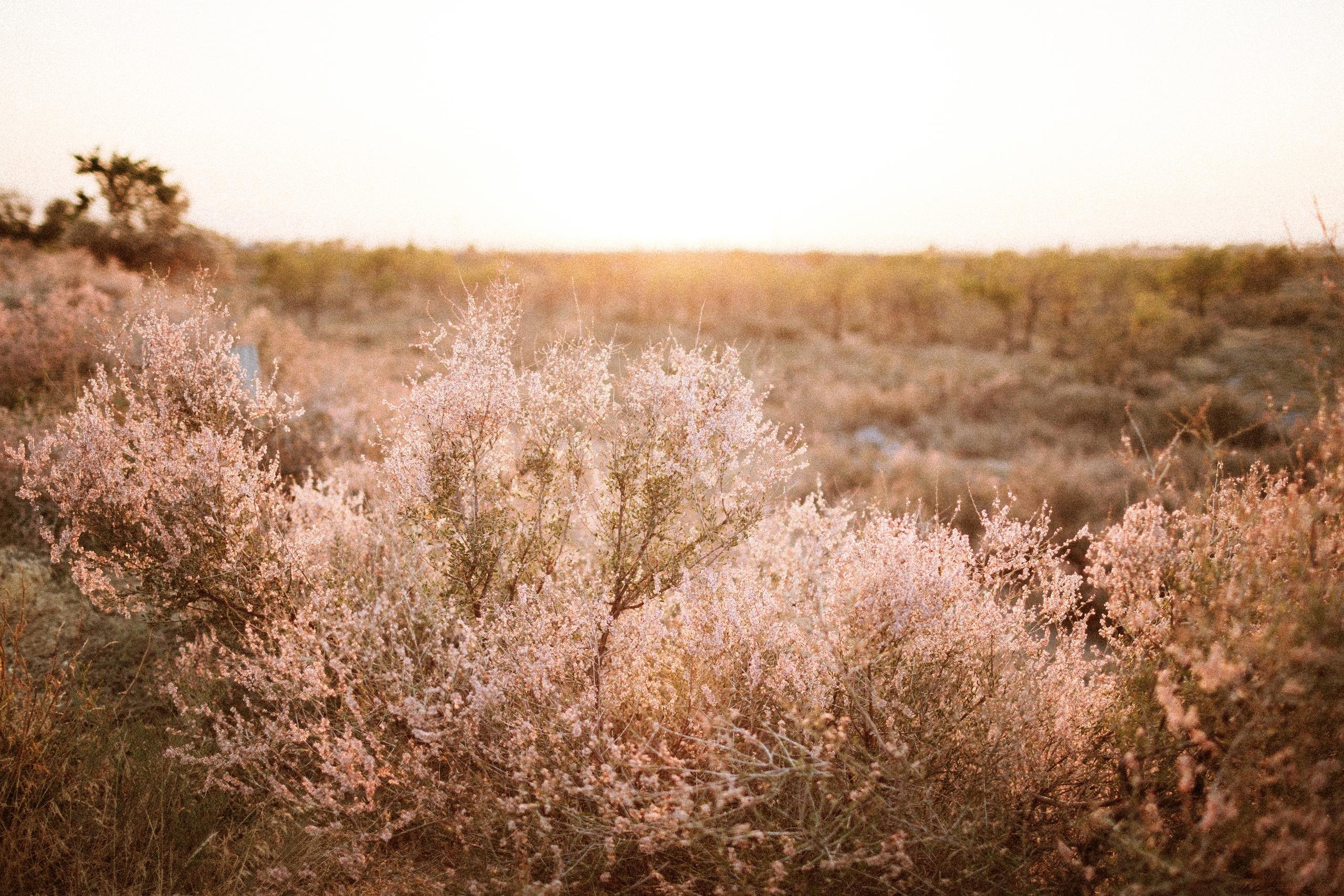 Осеннее путешествие в ущелье Шамси. Фотограф в Бишкеке Оксана Шувалова