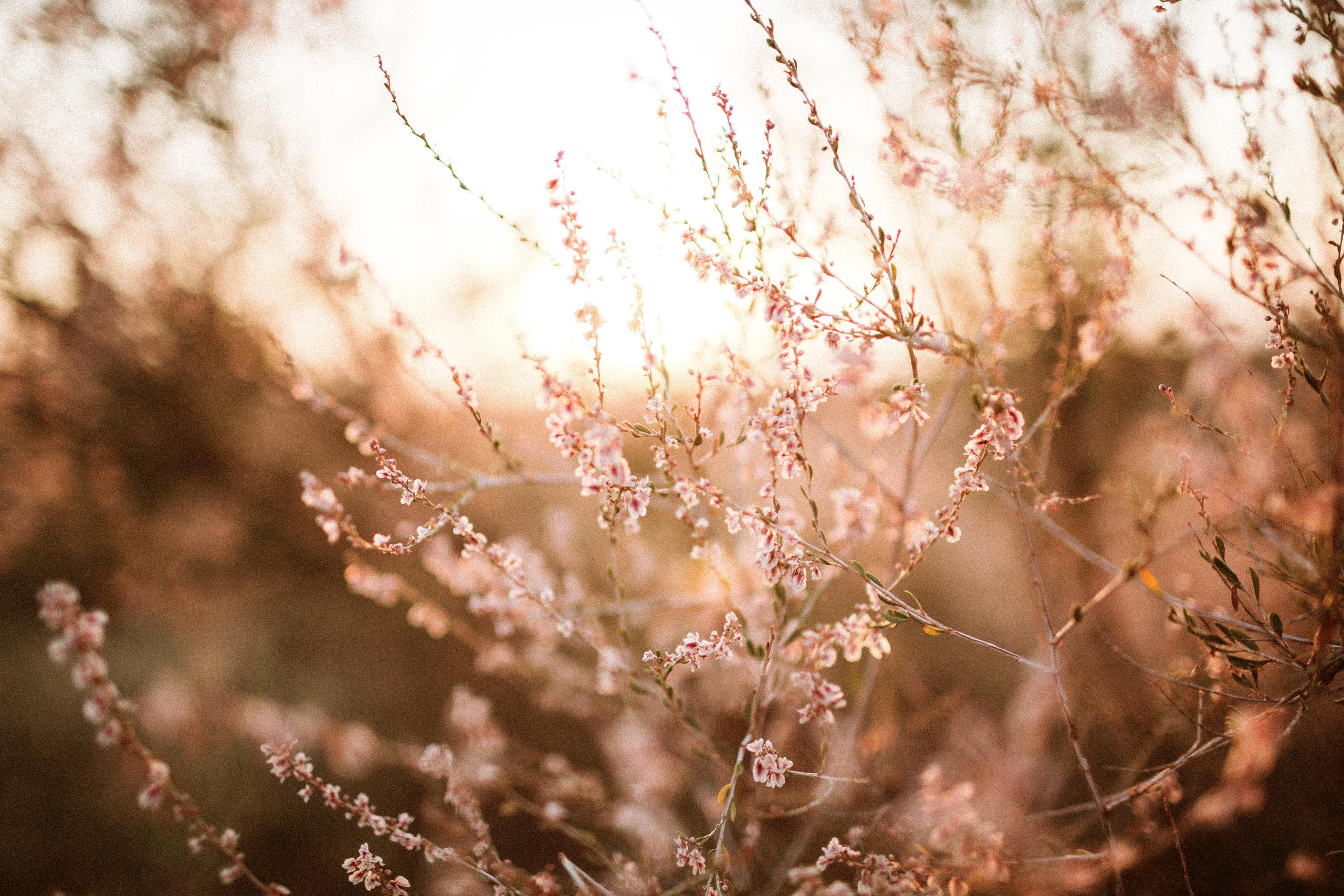 Осеннее путешествие в ущелье Шамси. Фотограф в Бишкеке Оксана Шувалова