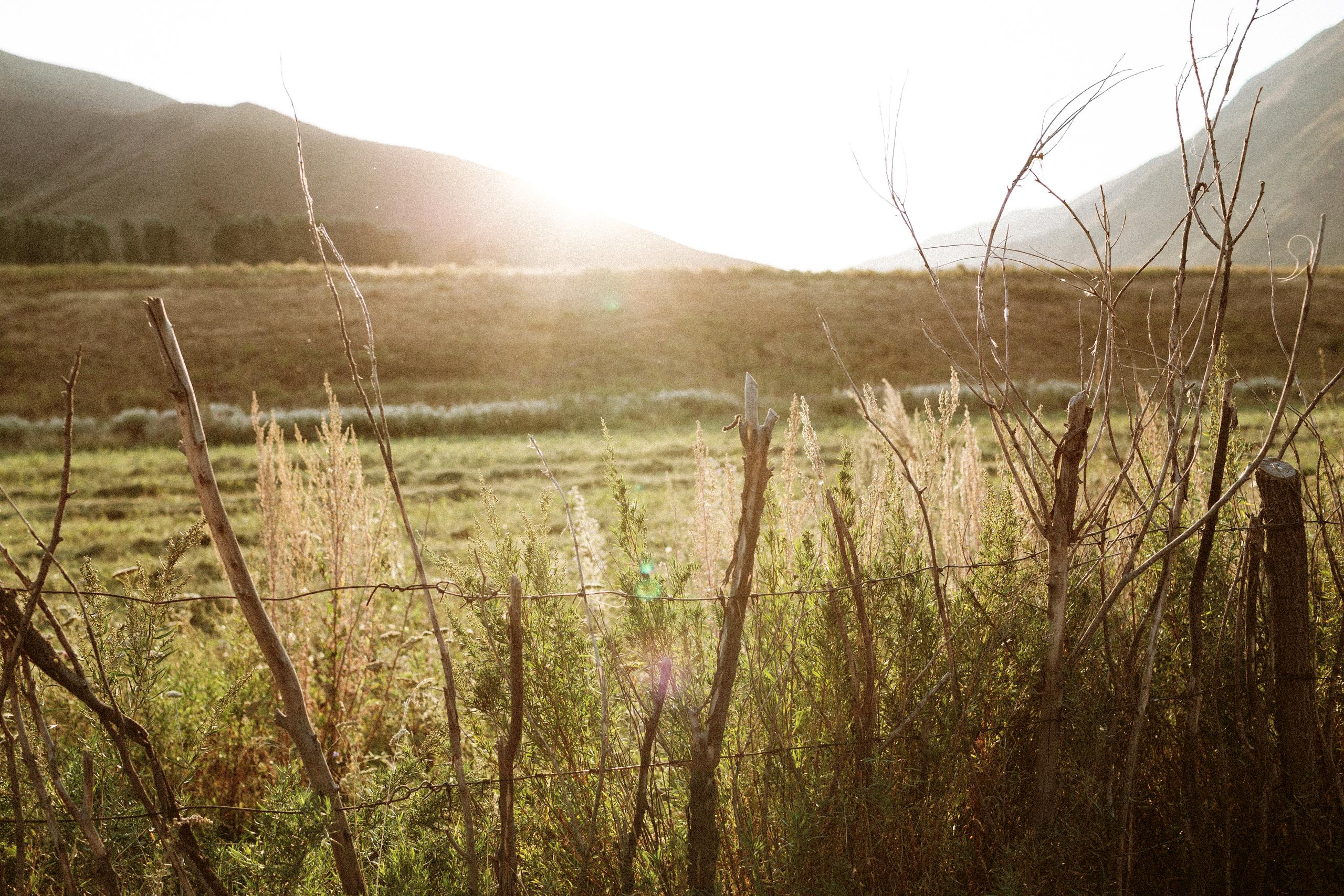 Осеннее путешествие в ущелье Шамси. Фотограф в Бишкеке Оксана Шувалова
