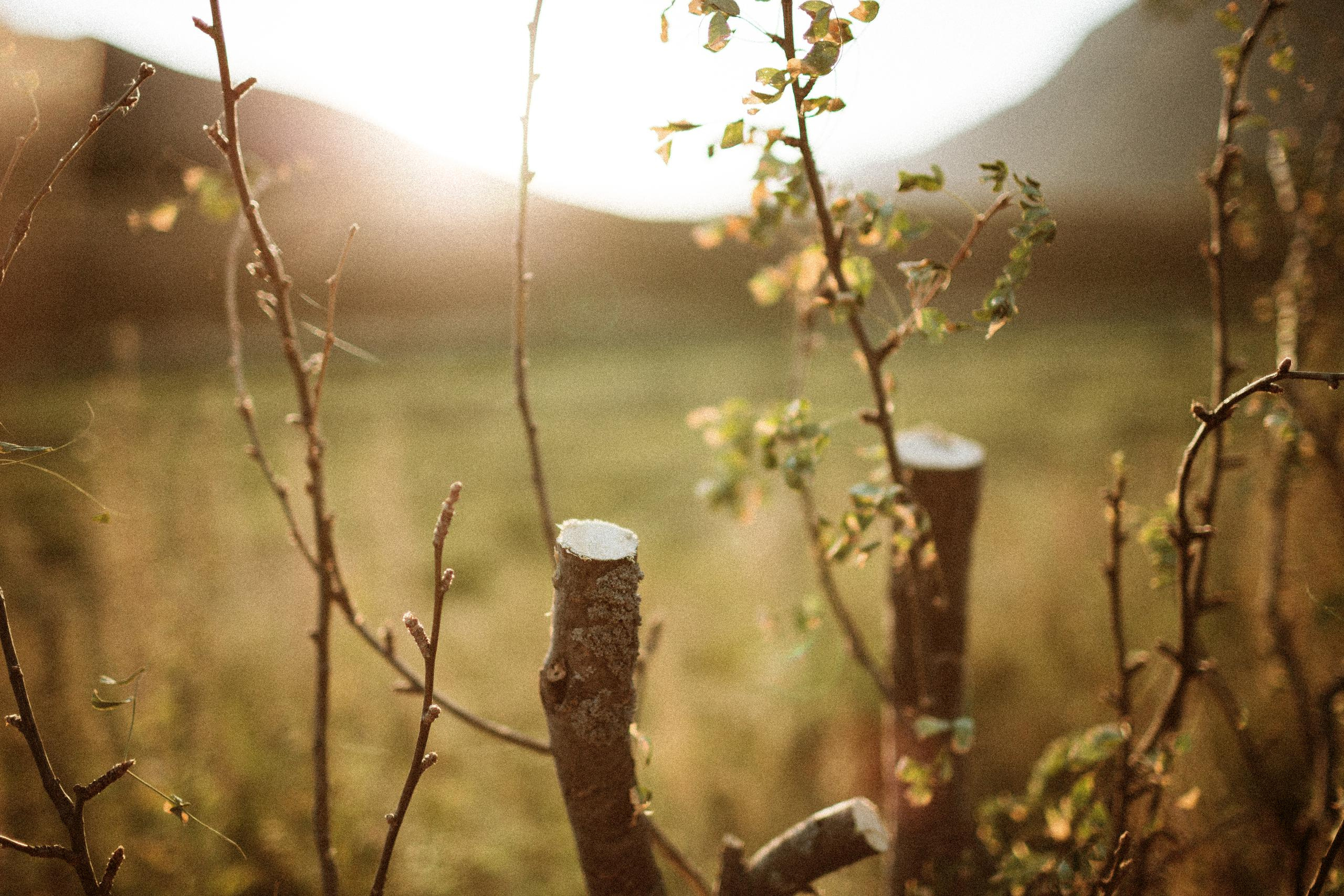 Осеннее путешествие в ущелье Шамси. Фотограф в Бишкеке Оксана Шувалова