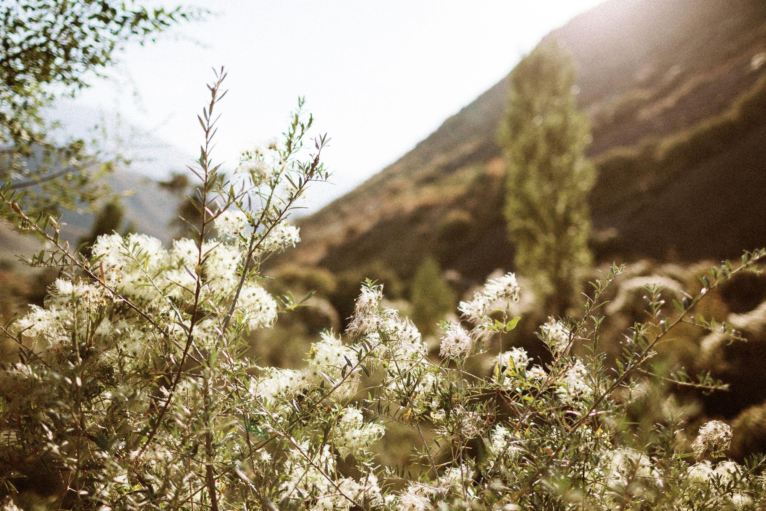 Осеннее путешествие в ущелье Шамси. Фотограф в Бишкеке Оксана Шувалова