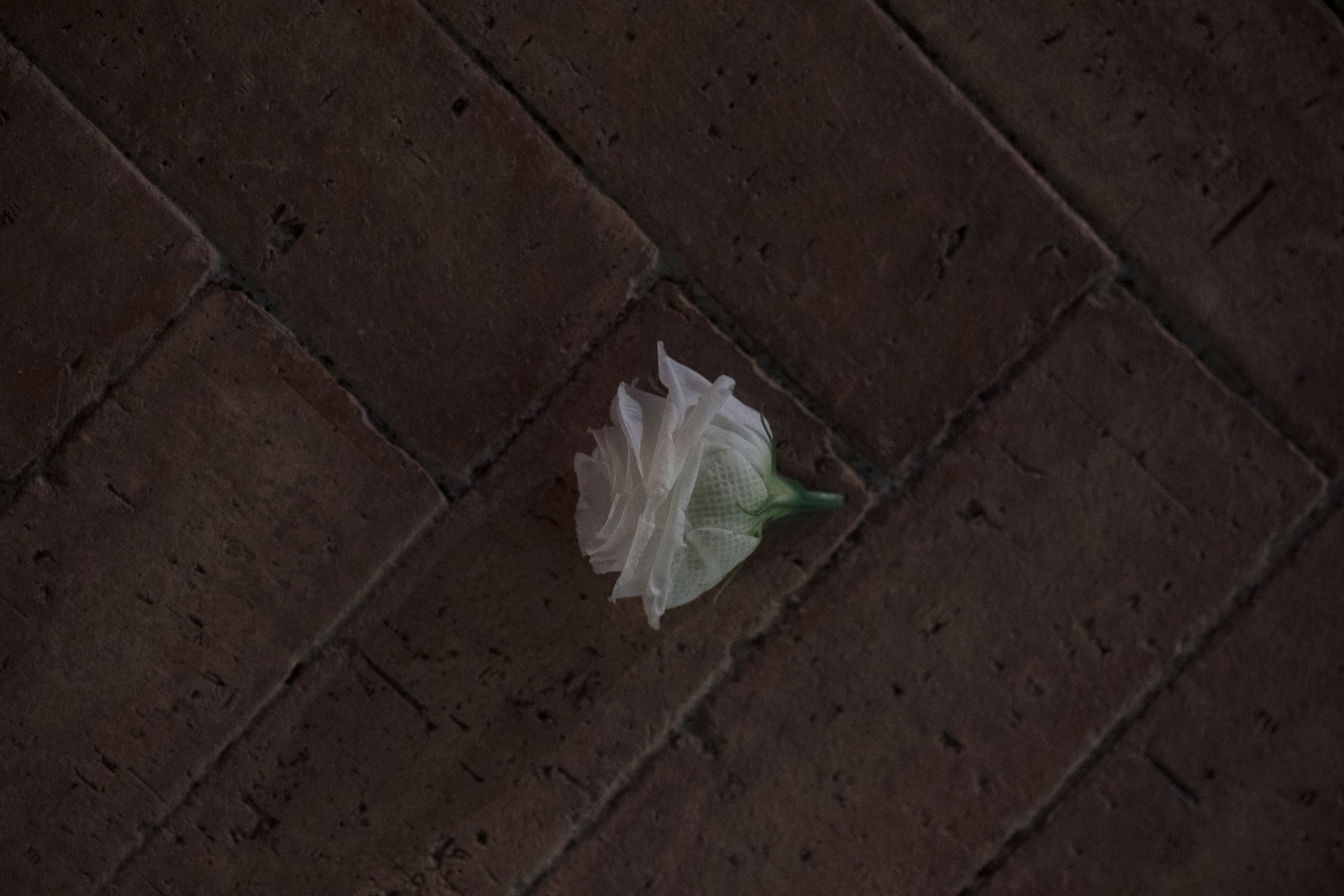 Sicily. Wedding photography — EMU Photos