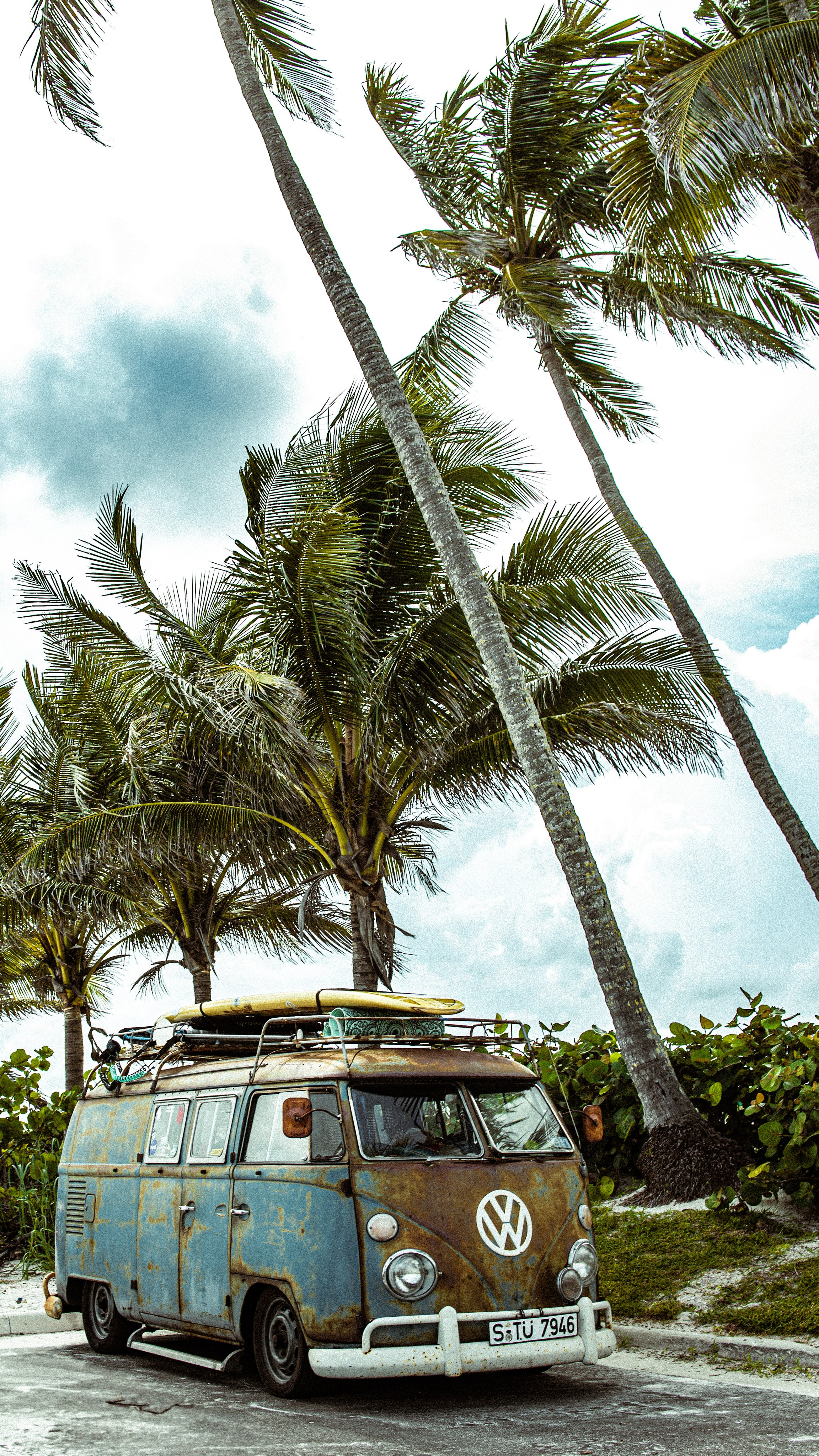 Summer 2025 Series. Out and About 239