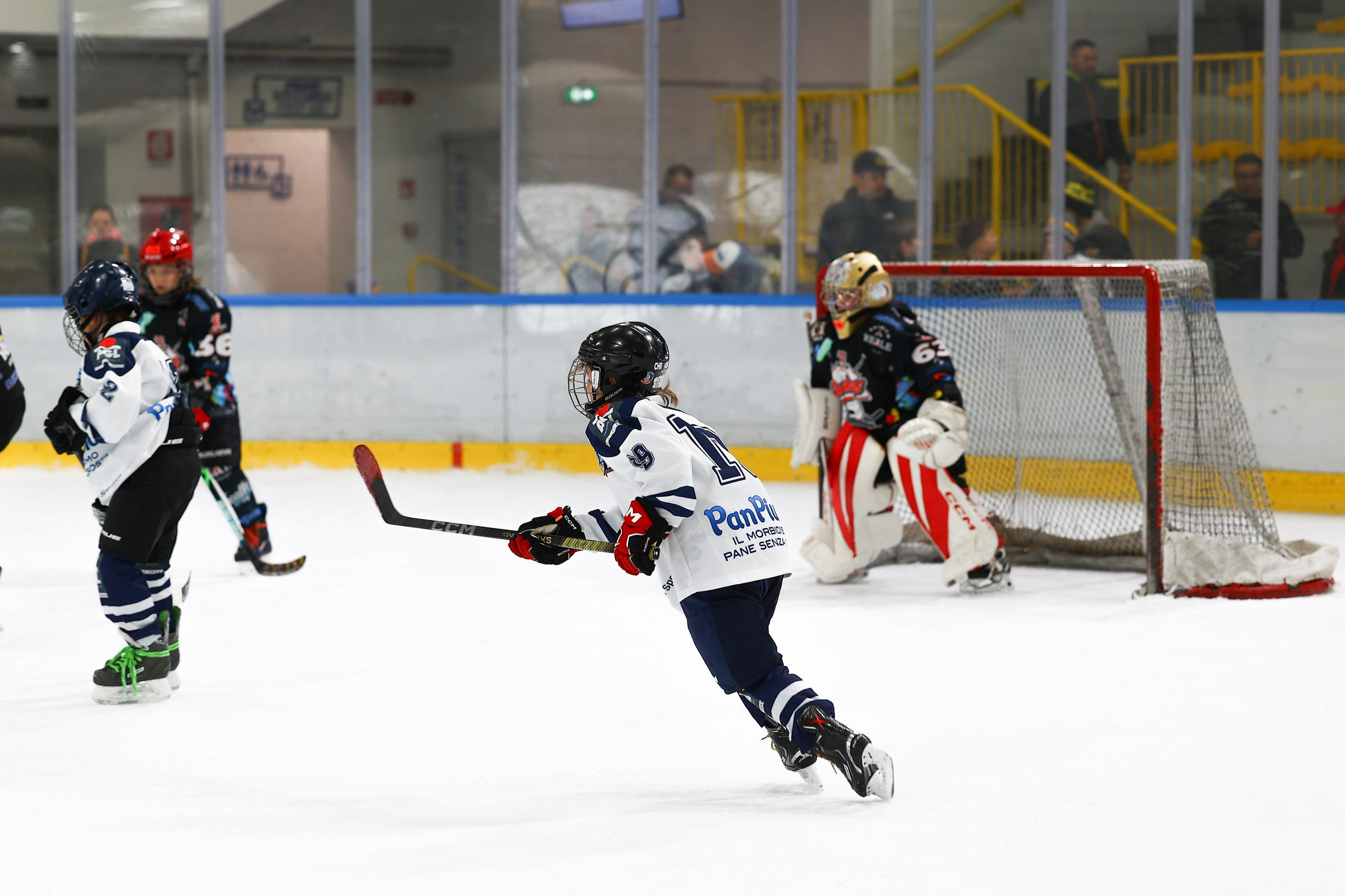 Sport Events. Photographer, Videomaker, Drone, Padova, Venice, Italy, Elena Radchenko