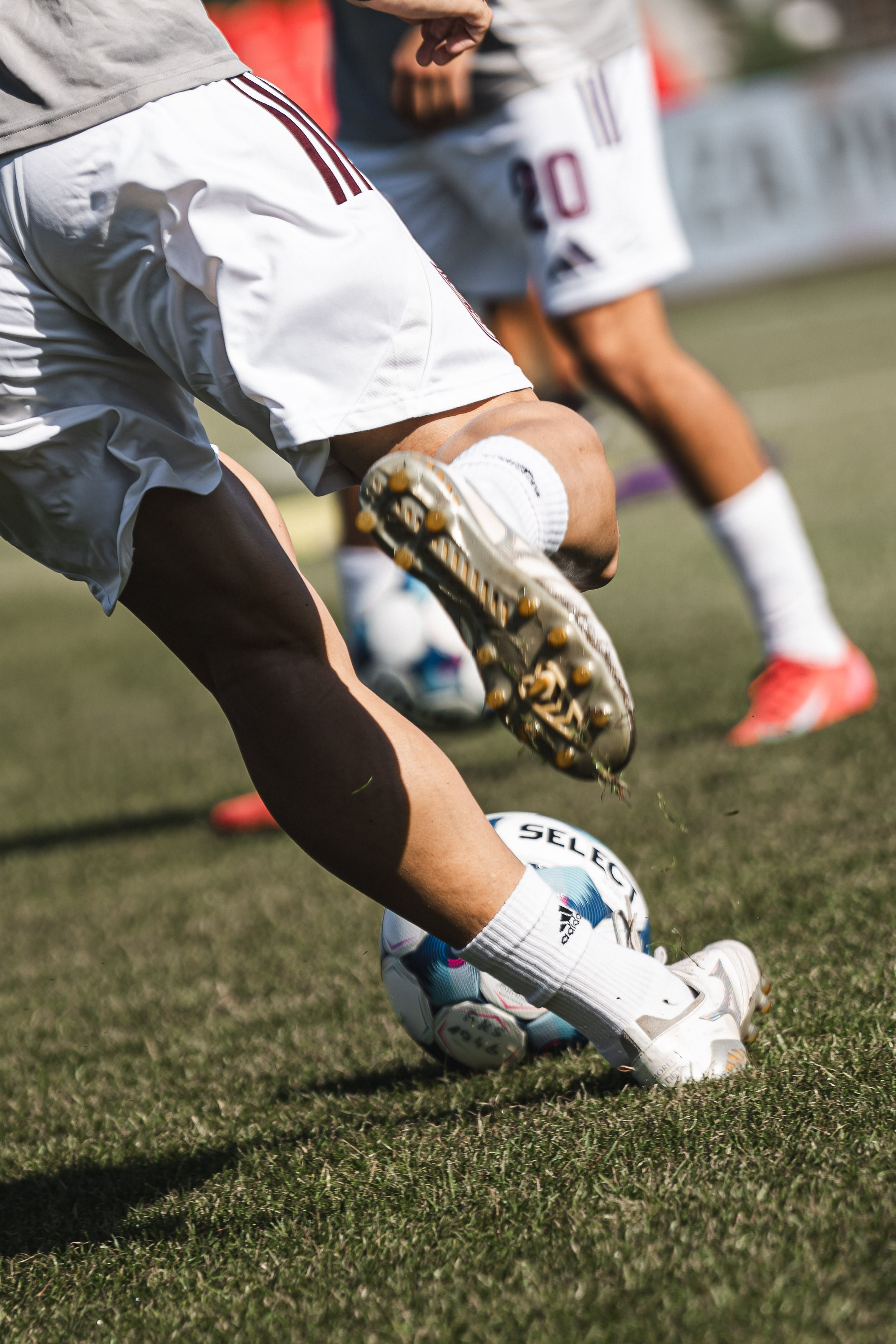 FK Sarajevo — 2025/2026