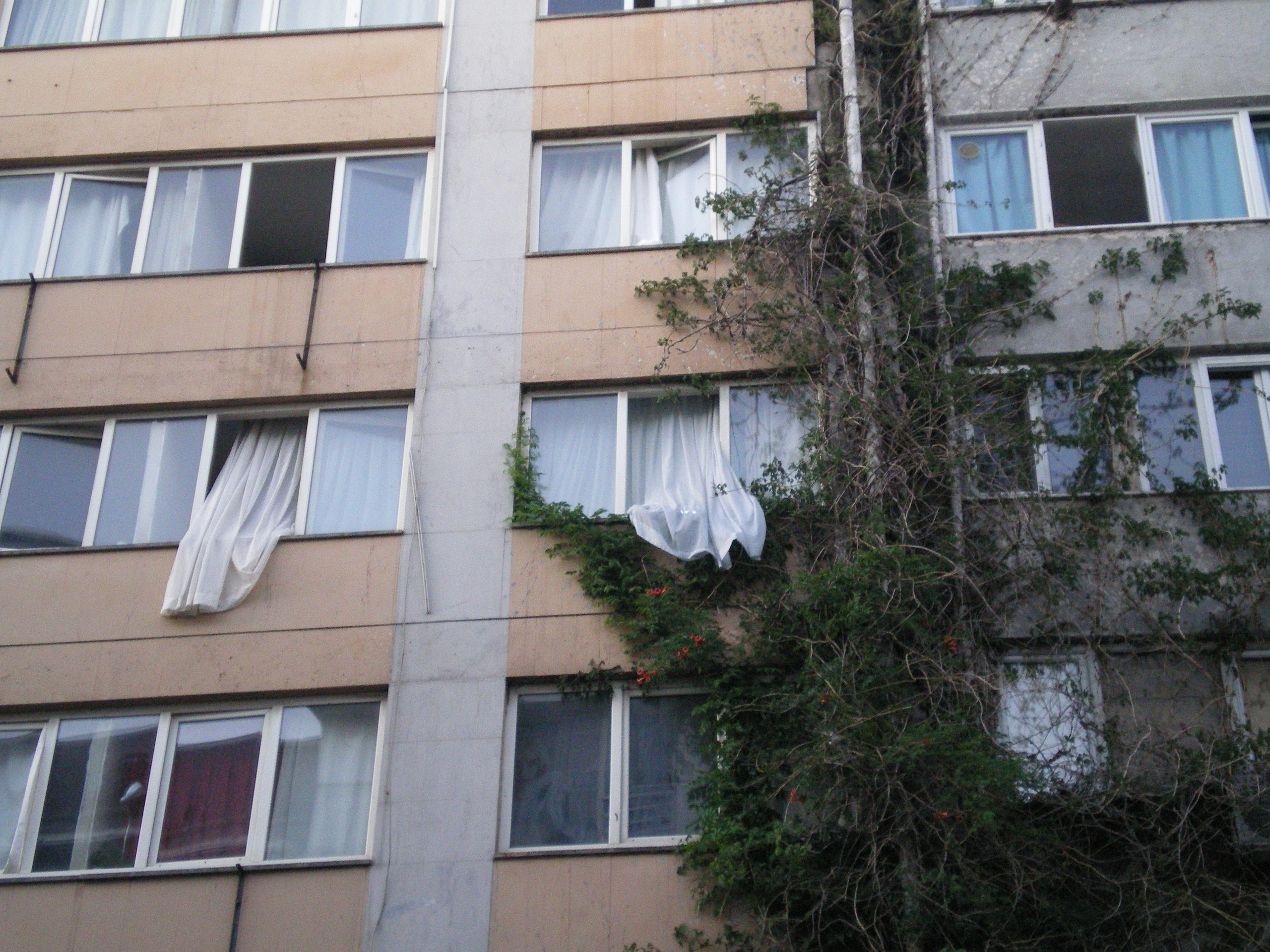 Ode to istanbul. Daria Sukhikh | Photography