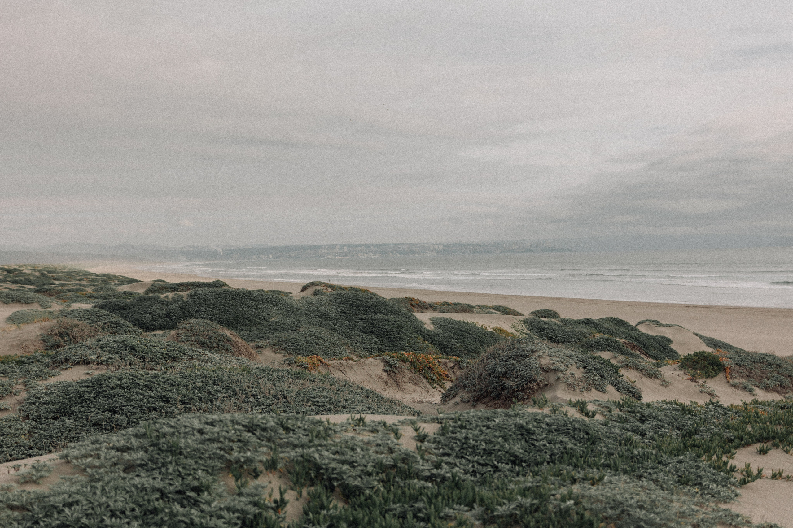 Natalia & Carlos. Anniversary love story. Fotógrafa familiar Santiago y Chile Anna Almazova