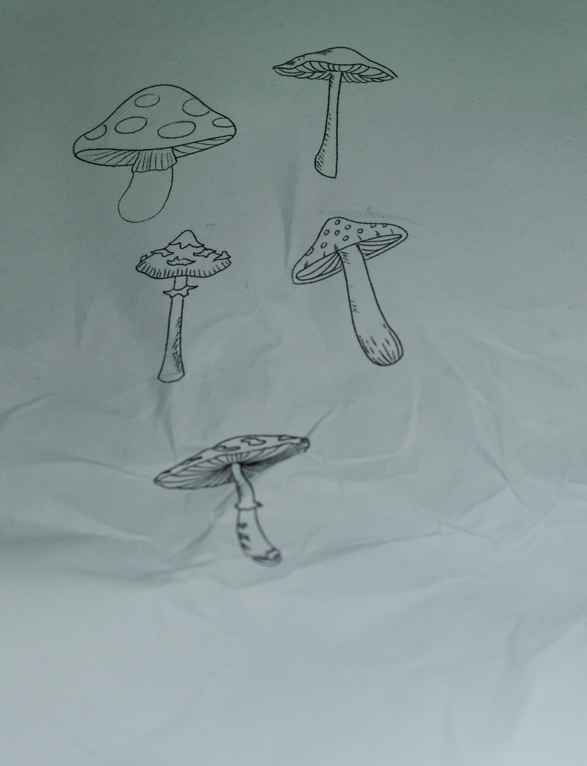 ROY TATTOO — радни дан. Викторија Федосеенко, фотограф у Србији