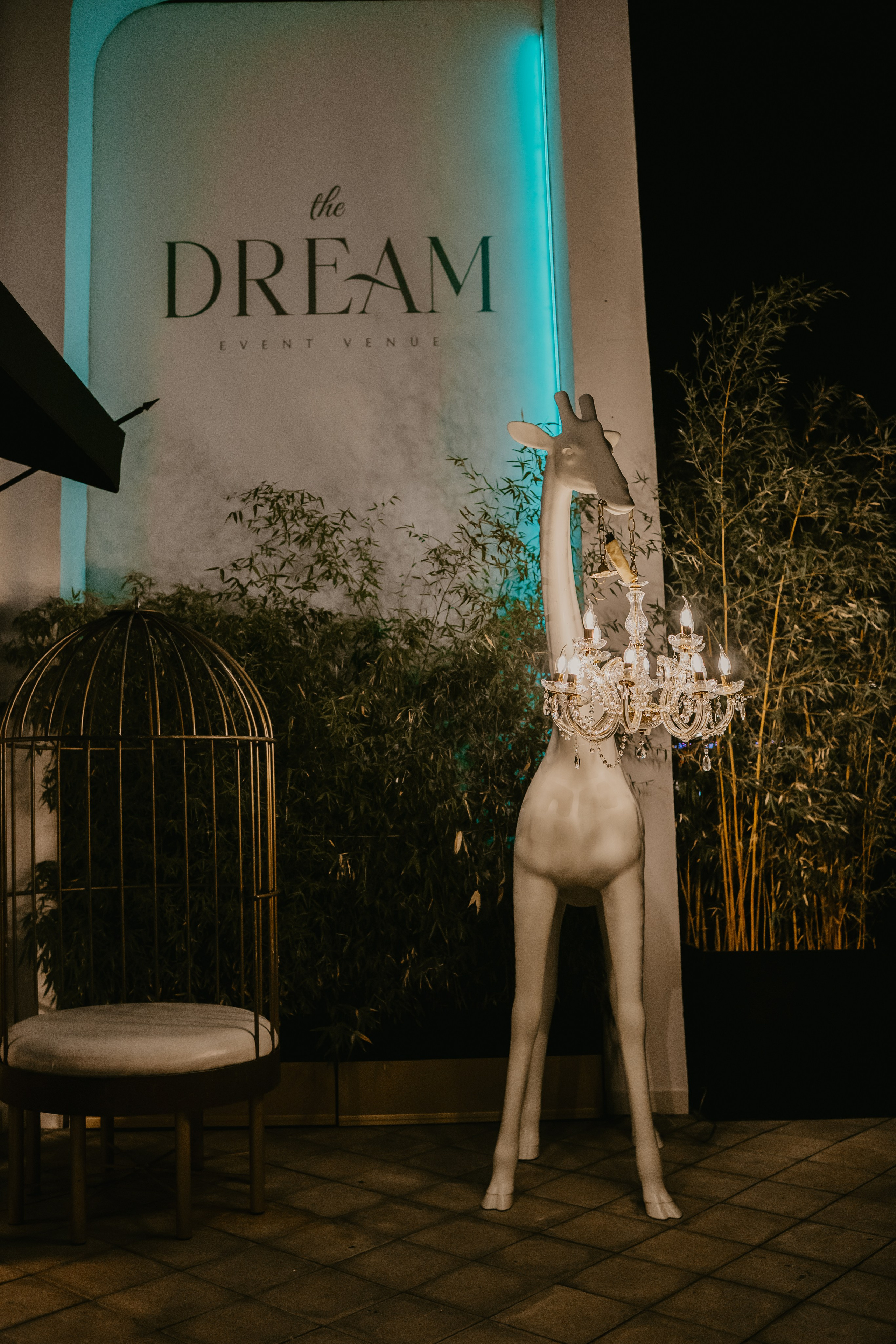 Bojana i Stefan. Ana Sladojevic