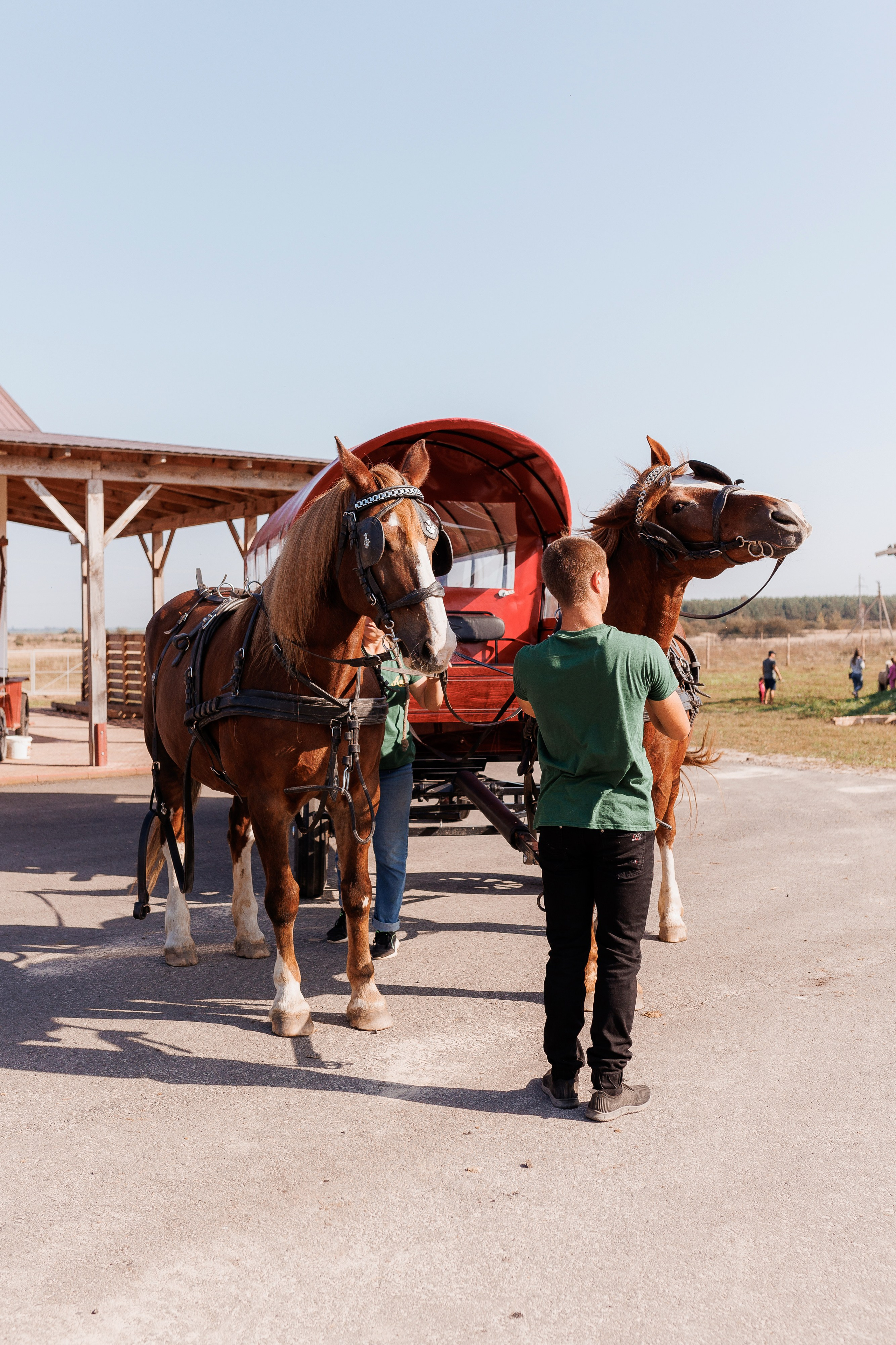 Екопарк Аміла. Ірина Терещук