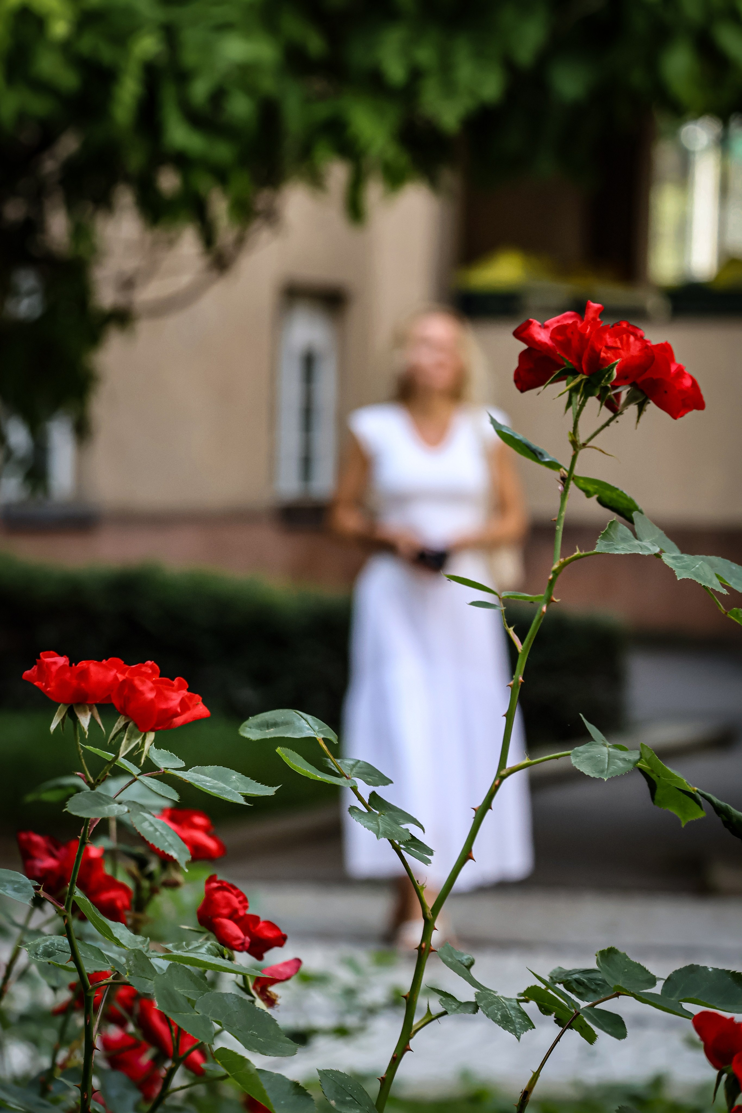 Early Summer Photo Shoot in Vienna
