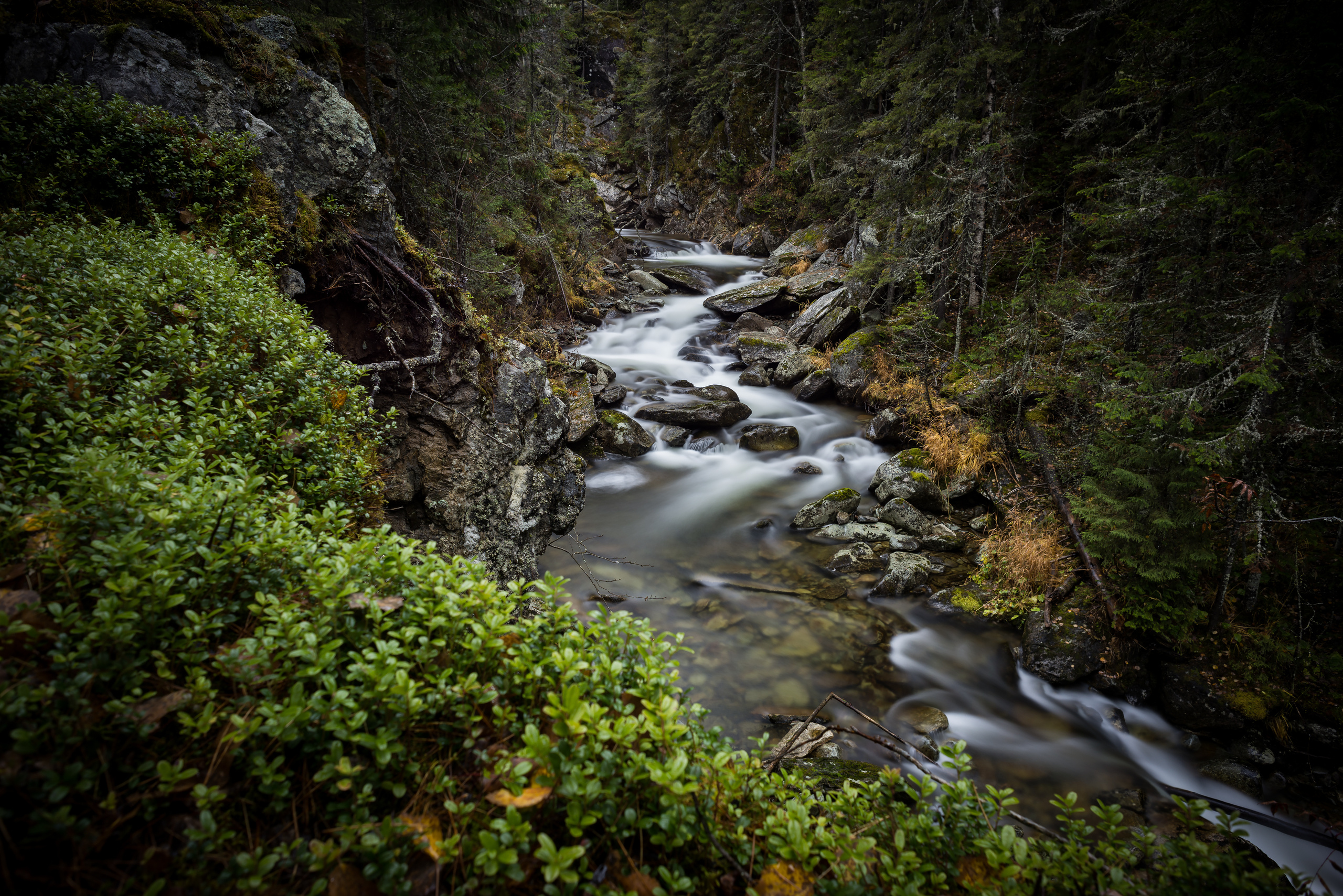 Outside. Beijing photographer Mike Pomerantsev