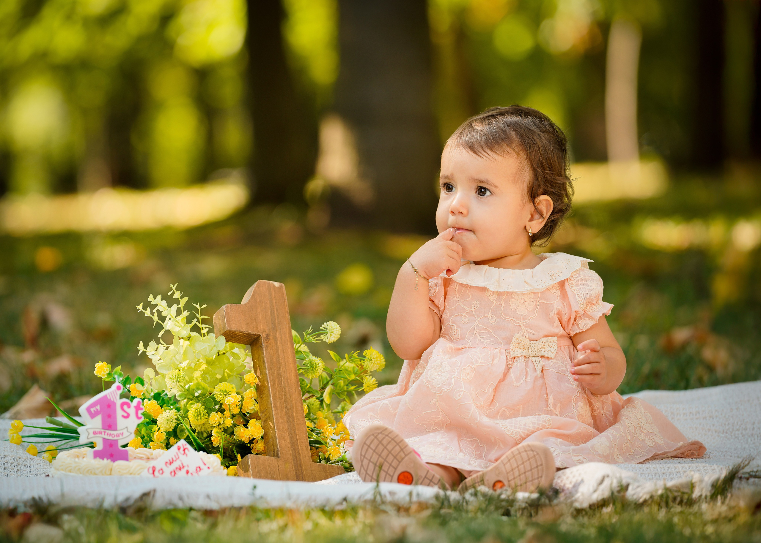 Sedinta foto outdoor. Cuibul foto