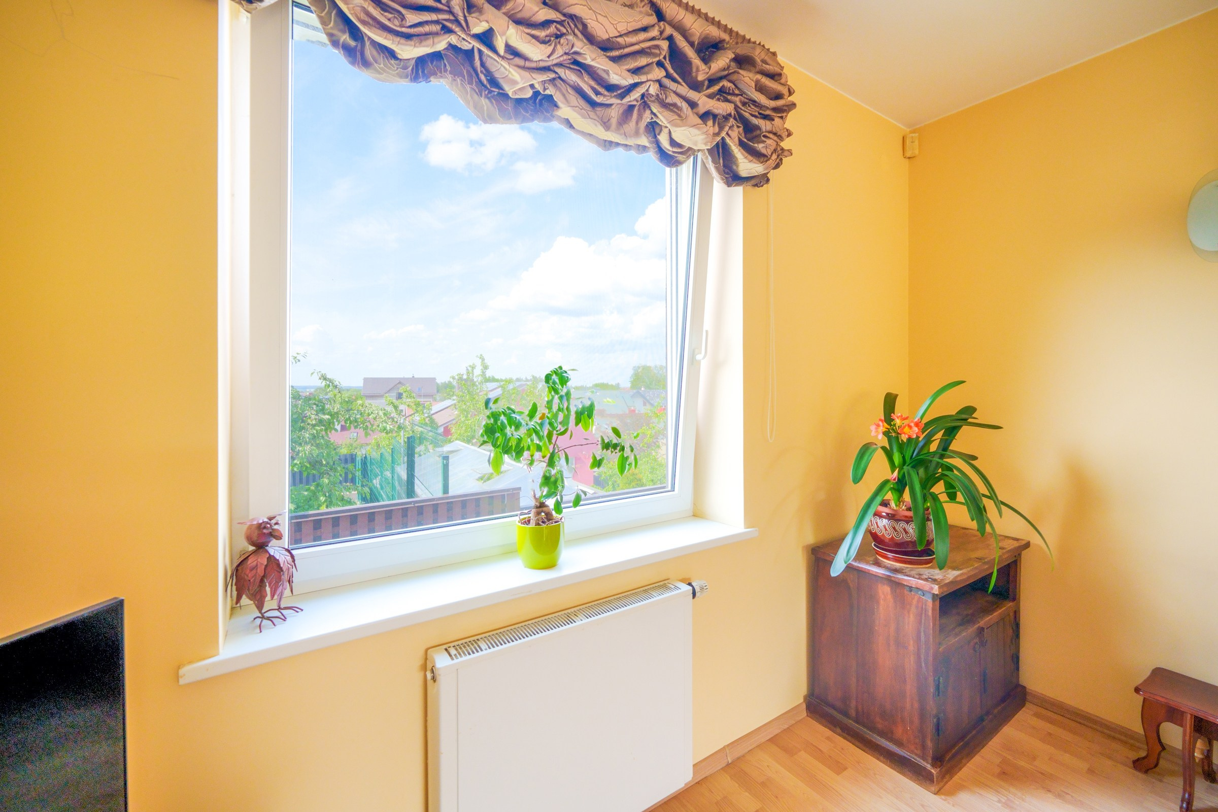 Viršupio sodų 1-oji. Elina Sapiega fotografė Vilniuje