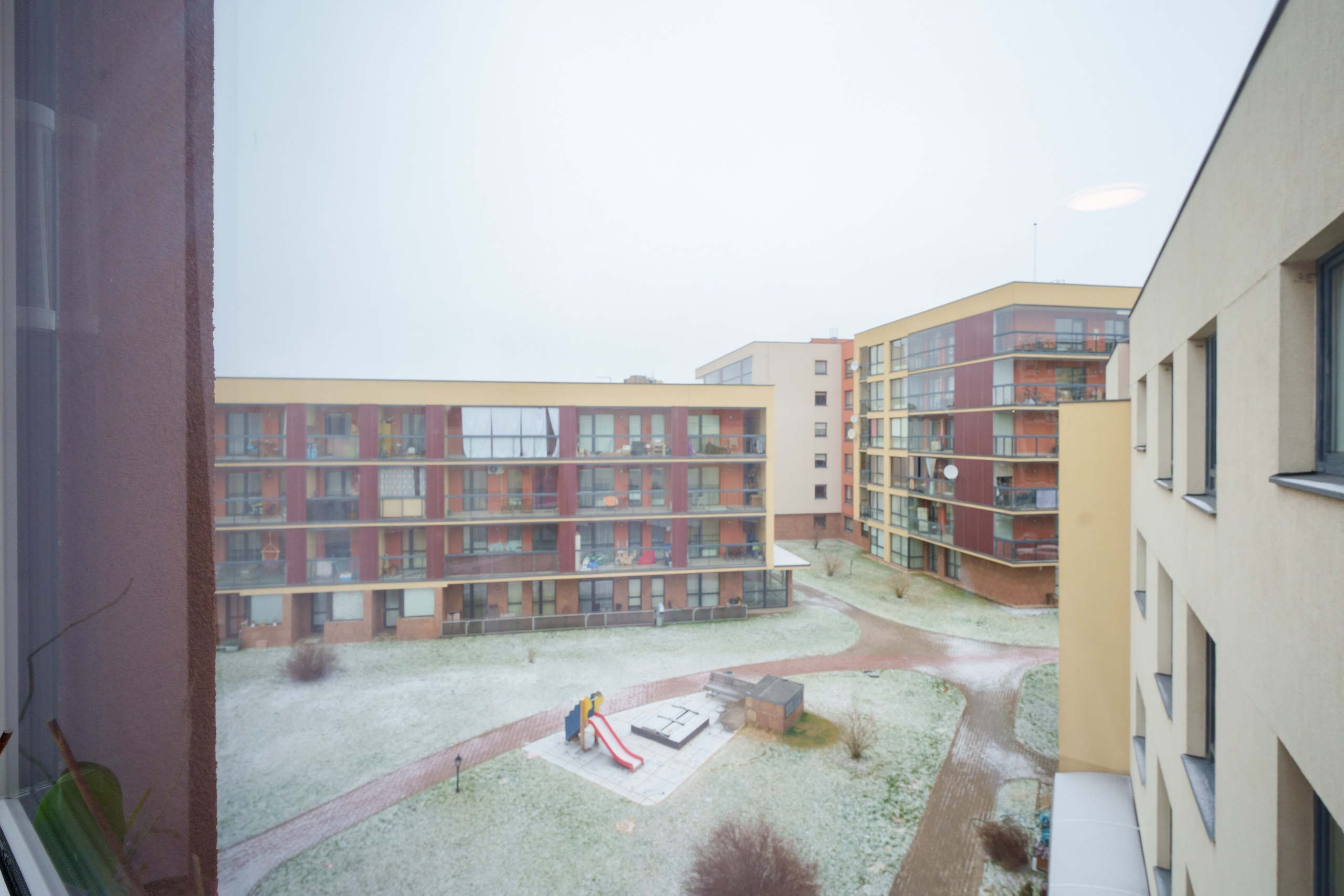 Bajorų kelias 1. Elina Sapiega fotografė Vilniuje