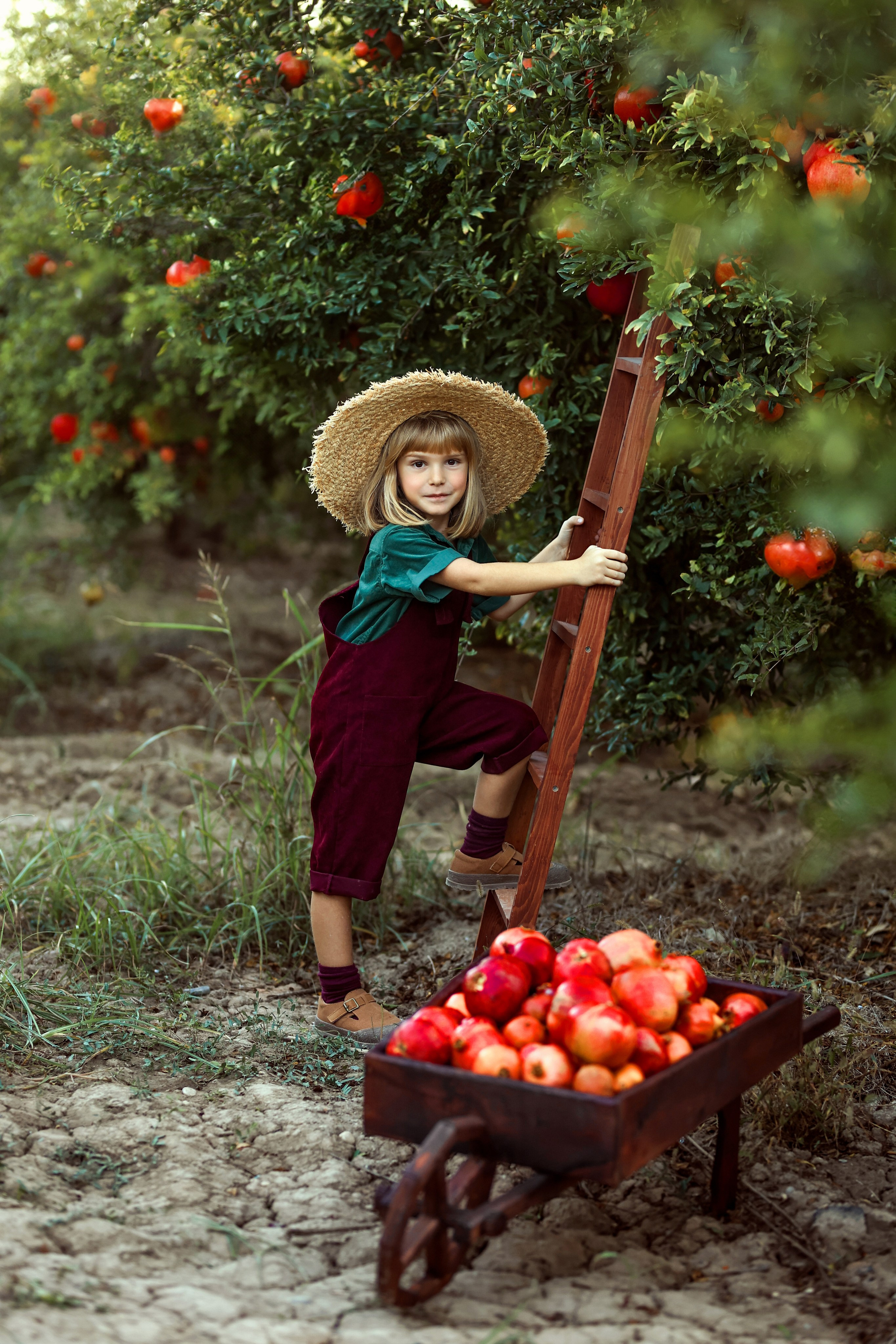 Photoshooting in pomegranate garden. Photographer in Turkey, Antalya, Kemer, Belek, Side, Kas, Fethiye