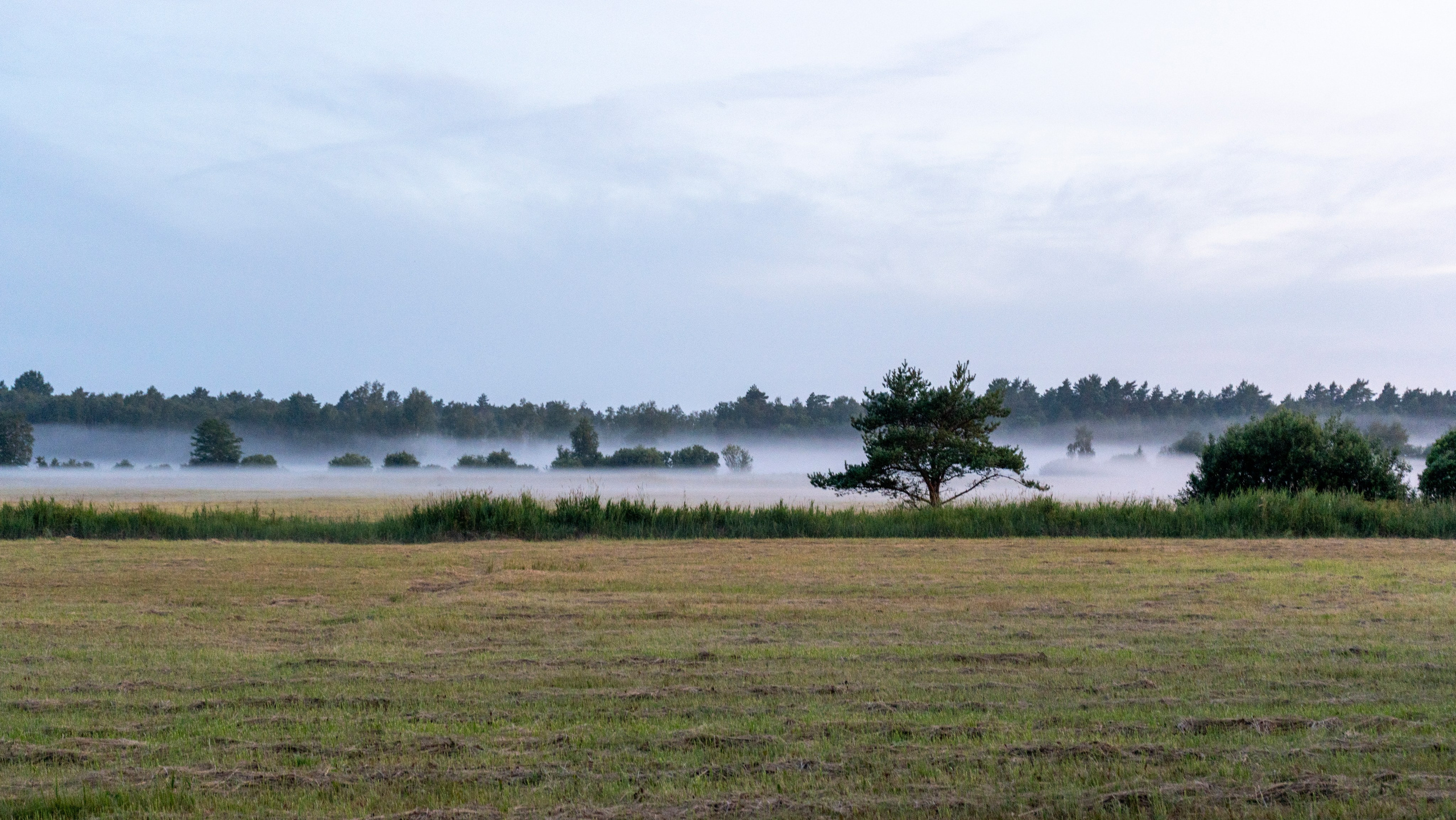 Whispers of Estonia. Photography | Videography | Marketing