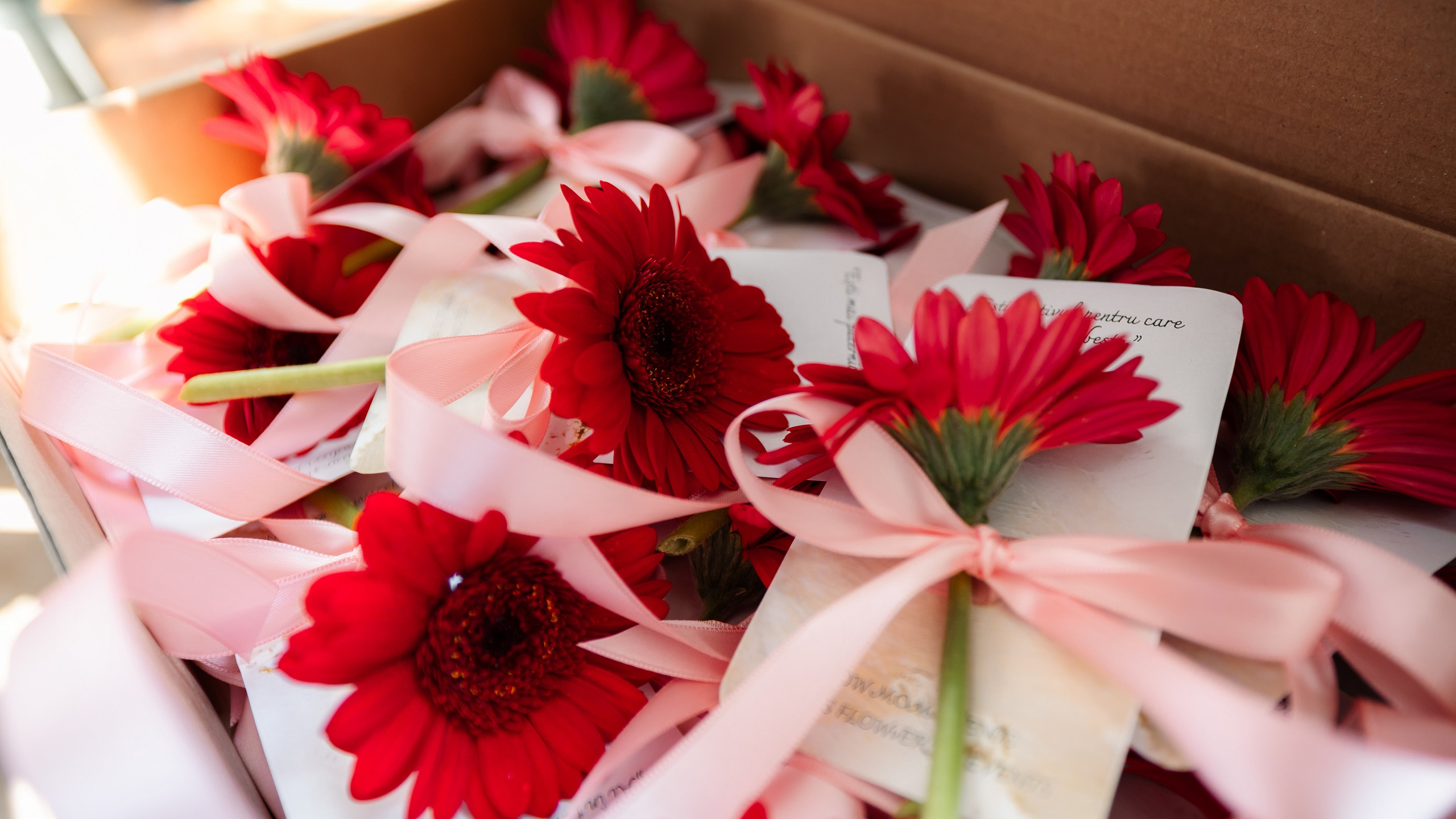 Glow Mom 2. Marius Ciocan