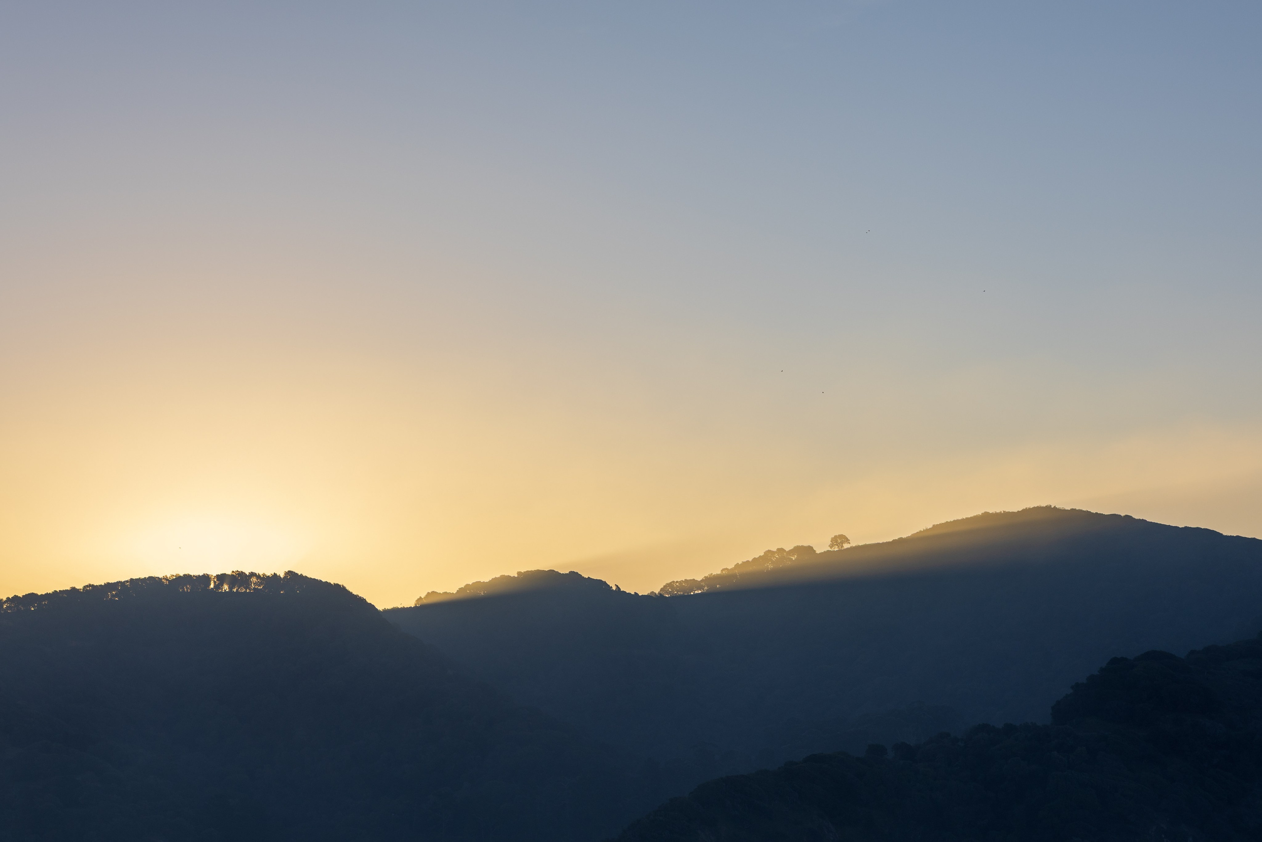 San Francisco. Aleks.photo | Book a photoshoot