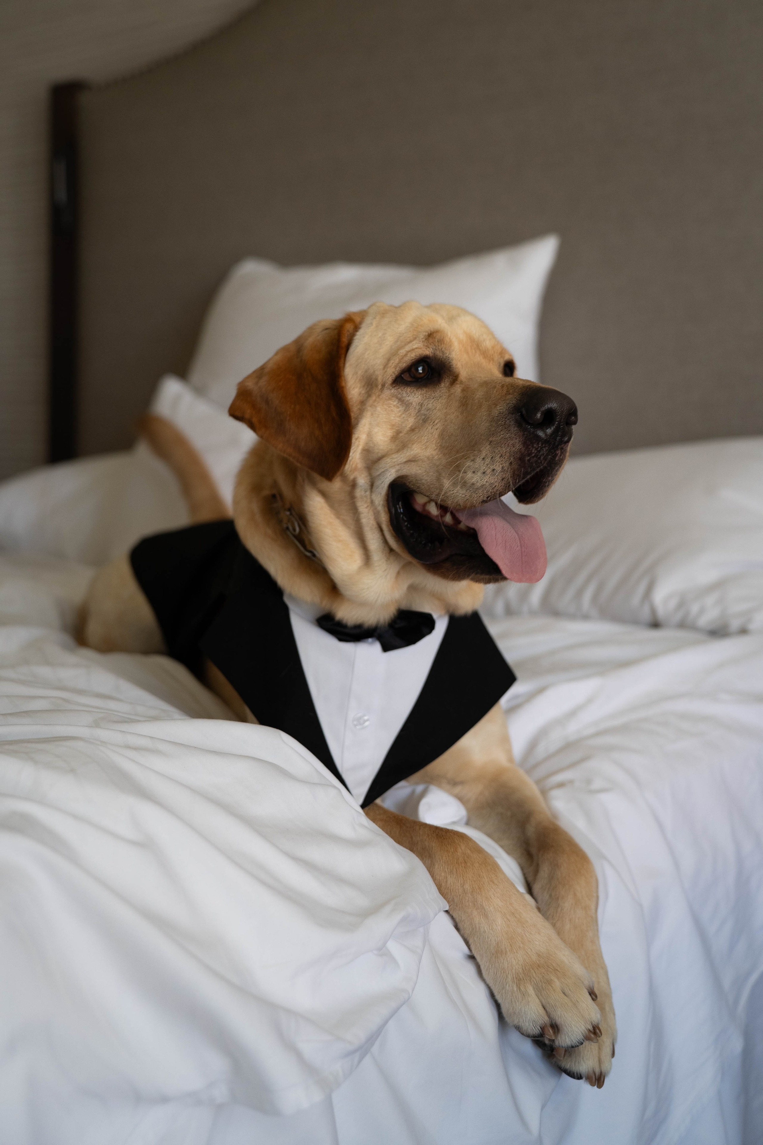 Rachel & Sergei Wedding. Classic & Elegant Wedding Photography and Videography in SoCal