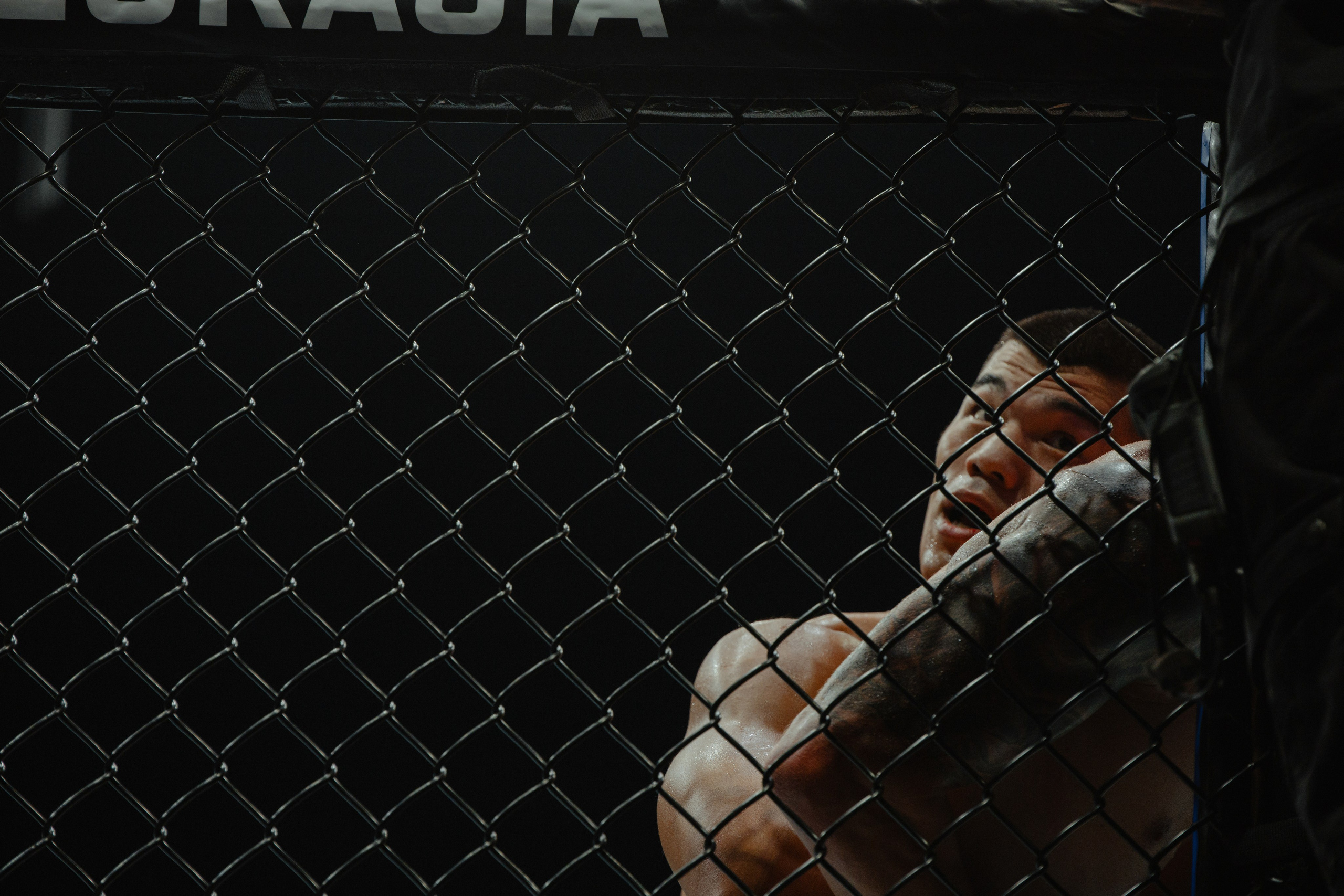 UFC. Commercial and Event photographer Eltaj