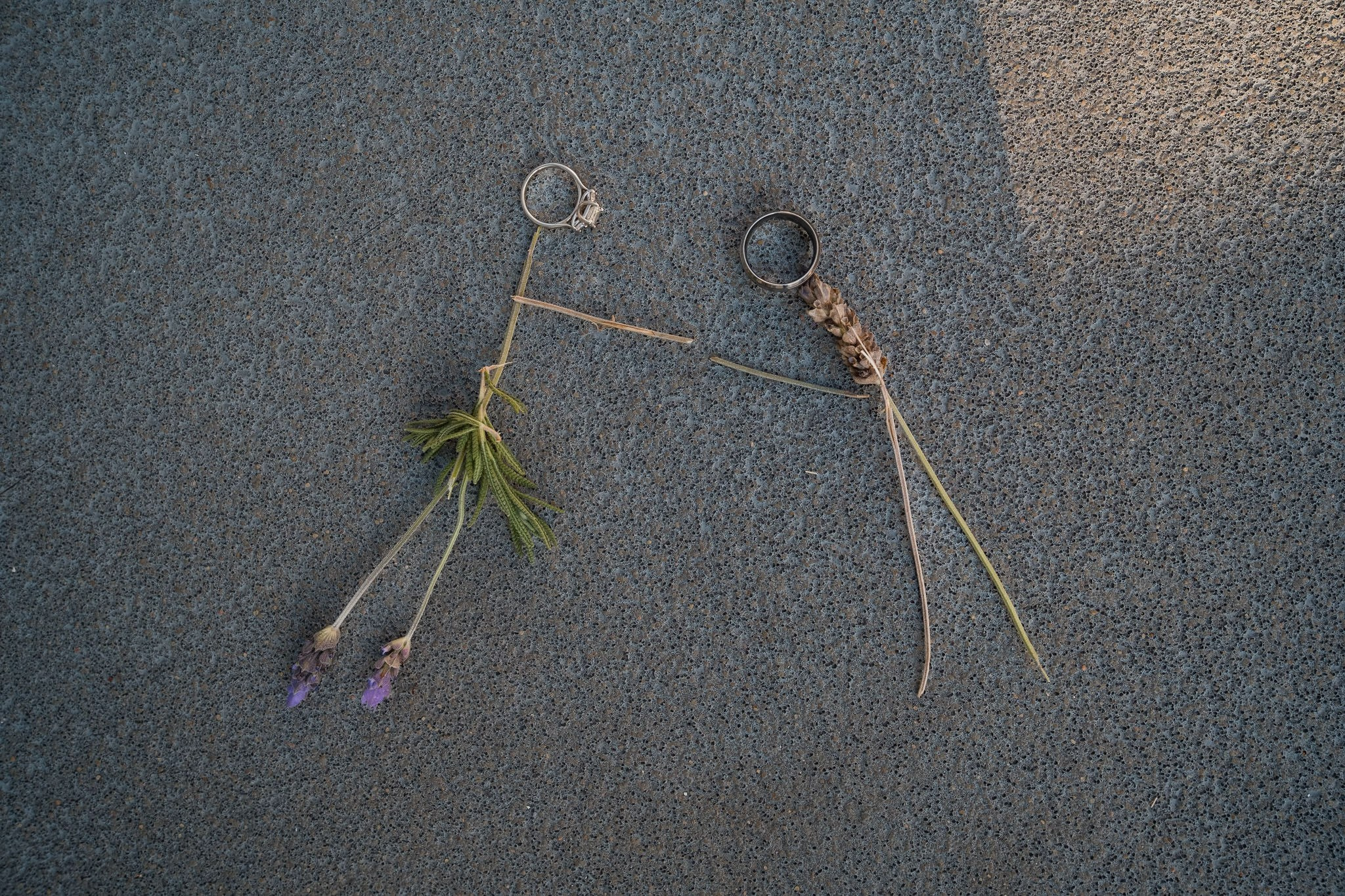 Adri & Ben. Wedding and family photographer in Mexico City