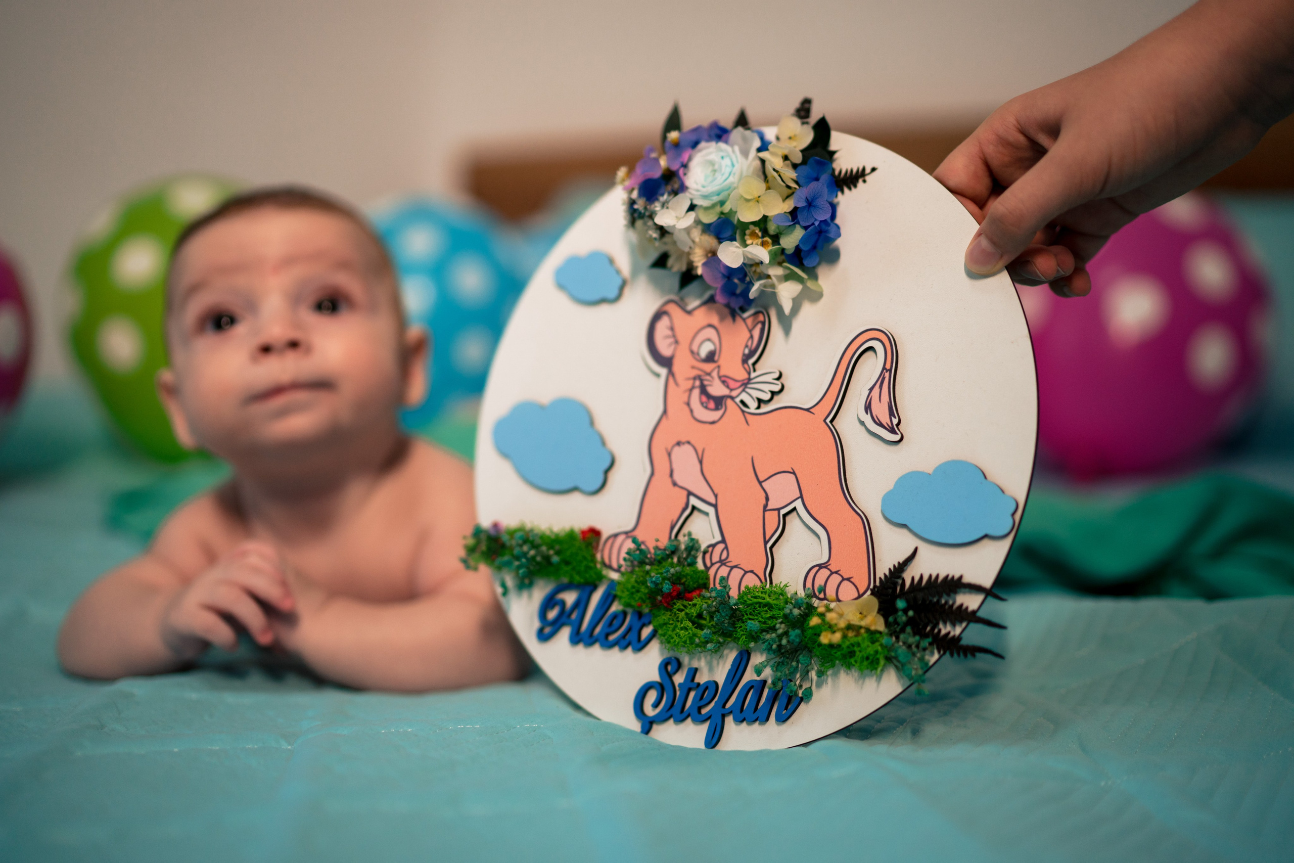 Sweetest devotion. Alexandru. Acasă