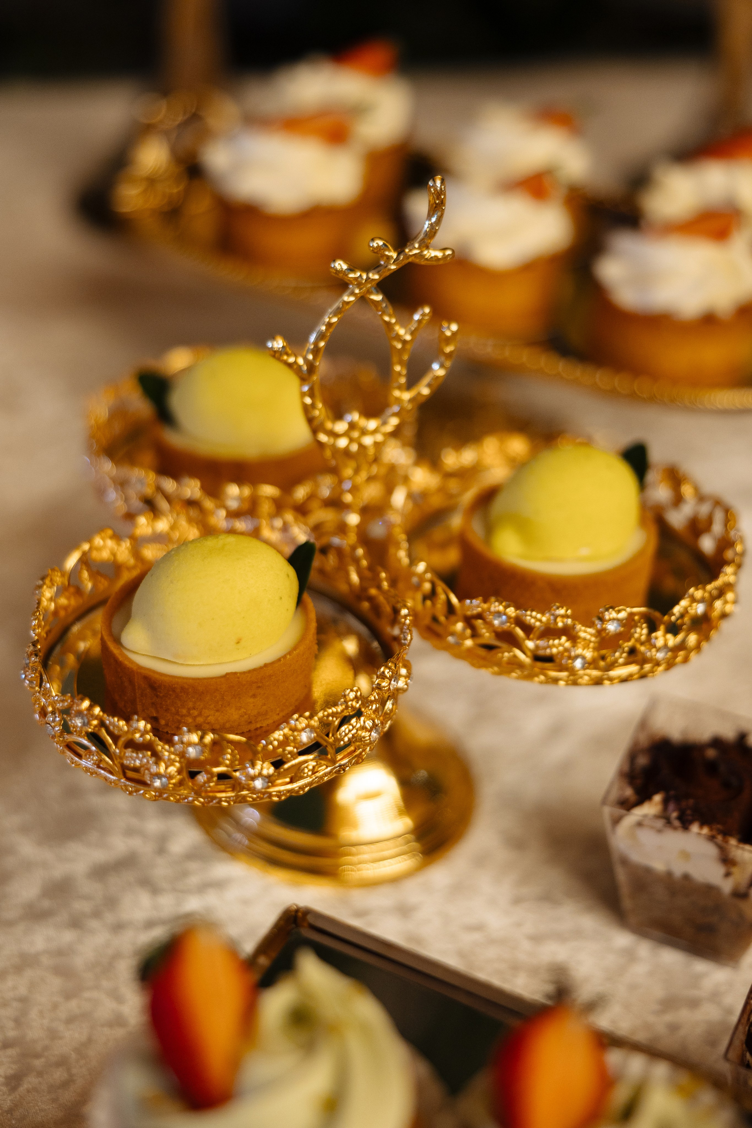 Diana Vlad. Ірина Терещук